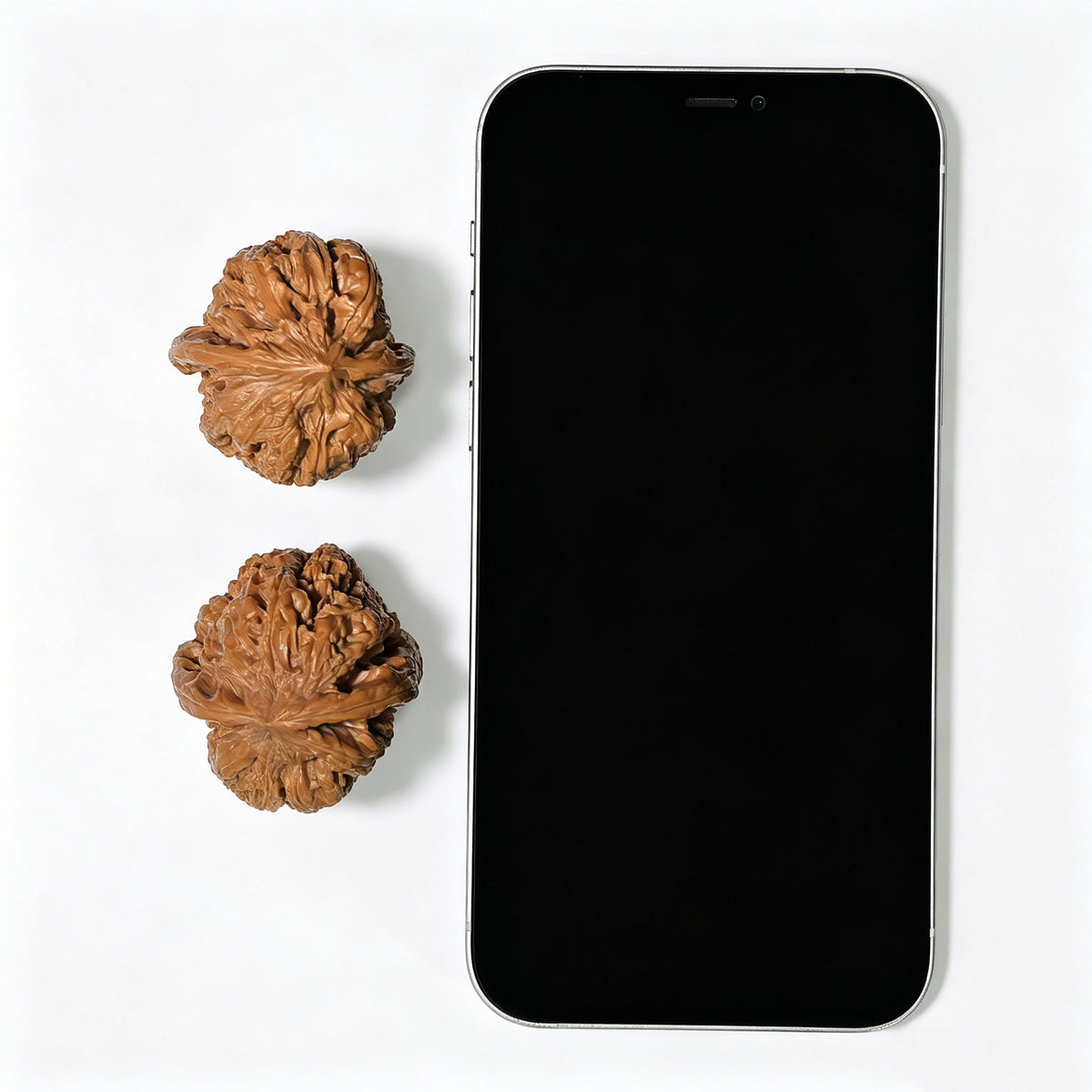 "North China General Shoulder" Huabei Jiangjunbang Wenwan Walnuts Pair | 37.0mm x 37.0mm | HBJJB-1103 - ThePatinaProject