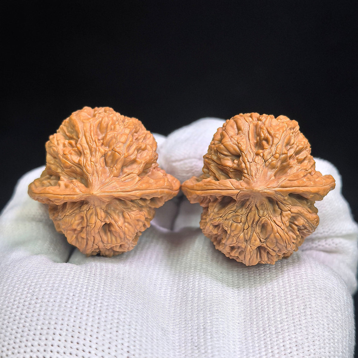 North China General-Shoulder “Tian Can Jiao” Wenwan Walnut Pair | 38.0mm x 37.0mm | HBJJTCJ-C1E1E - ThePatinaProject