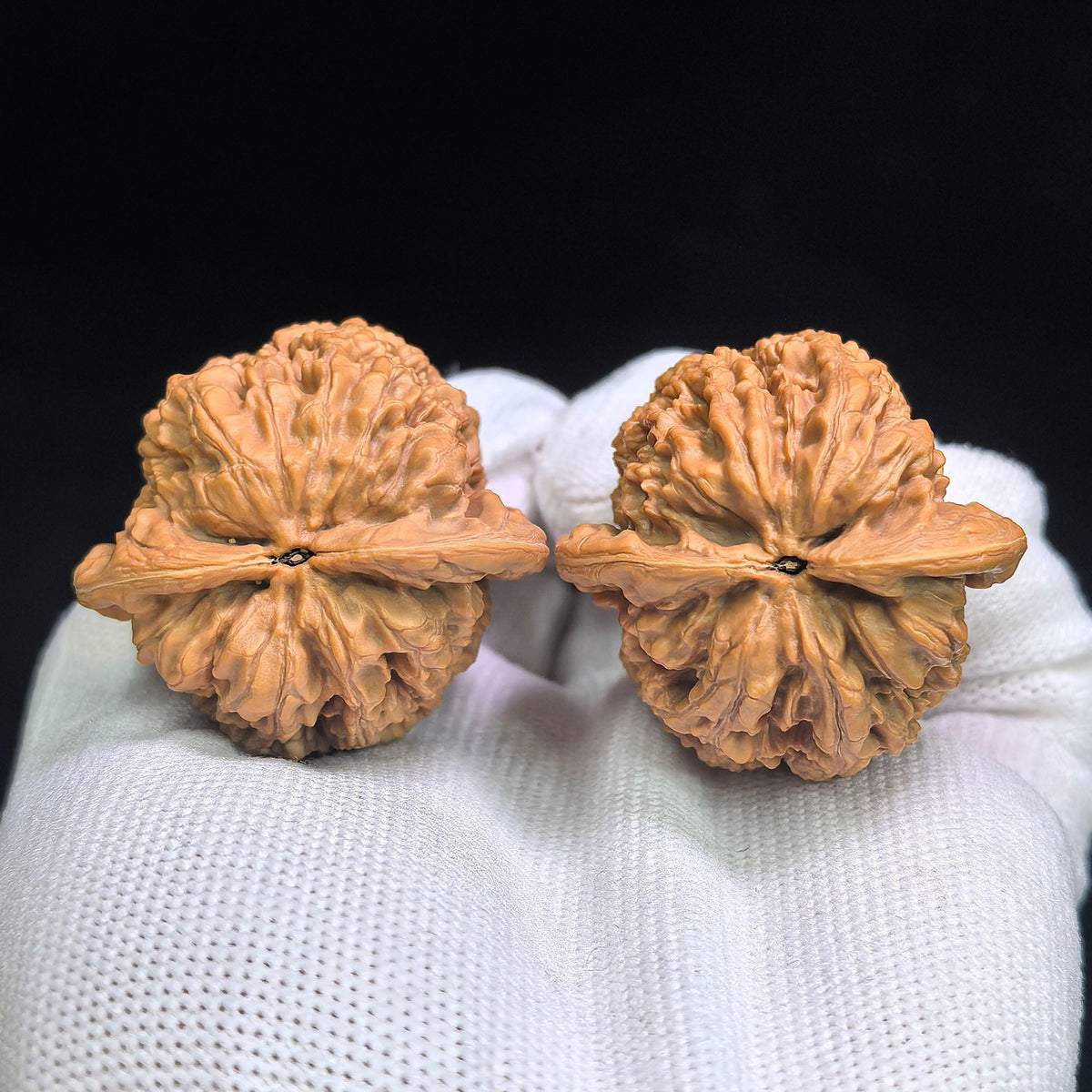 North China General-Shoulder “Tian Can Jiao” Wenwan Walnut Pair | 38.0mm x 37.0mm | HBJJTCJ-C1E1E - ThePatinaProject