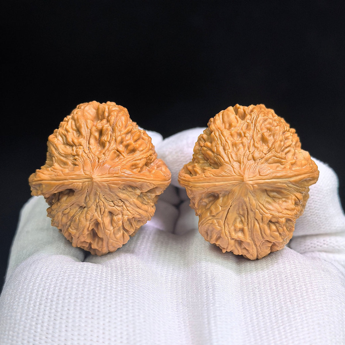 "North China General's Shoulder" Broad-Shouldered Heirloom Collection Wenwan Walnuts Pair | 37.0mm x 40.0mm | HBJJB-1501C - ThePatinaProject