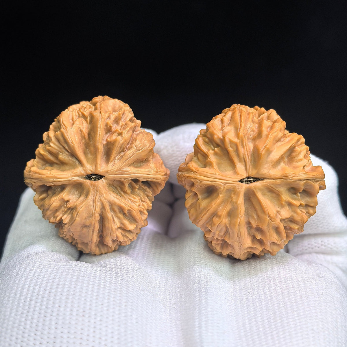 "North China General's Shoulder" Broad-Shouldered Heirloom Collection Wenwan Walnuts Pair | 37.0mm x 40.0mm | HBJJB-1501C - ThePatinaProject