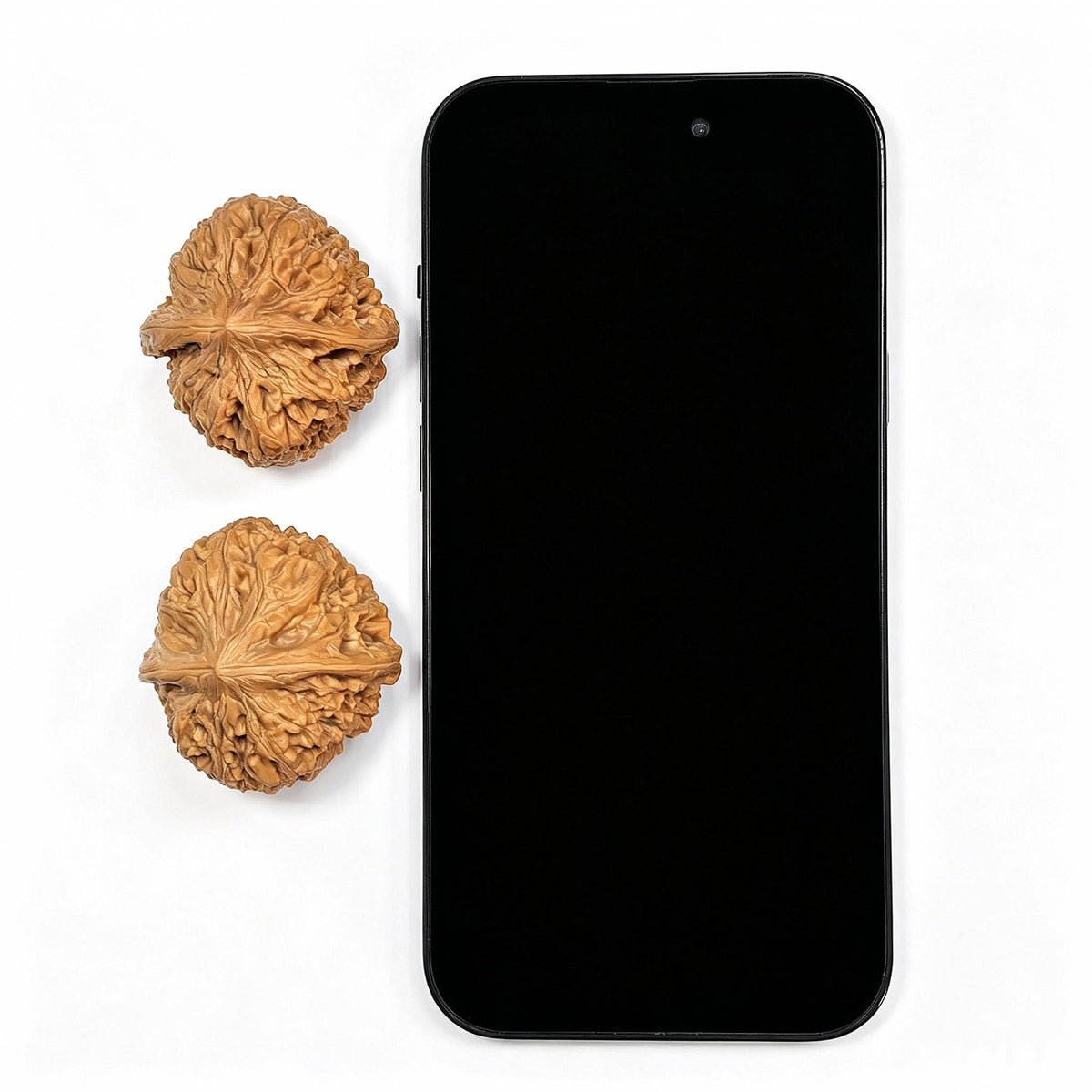 "North China General's Shoulder" Broad-Shouldered Heirloom Collection Wenwan Walnuts Pair | 37.0mm x 40.0mm | HBJJB-1501C - ThePatinaProject