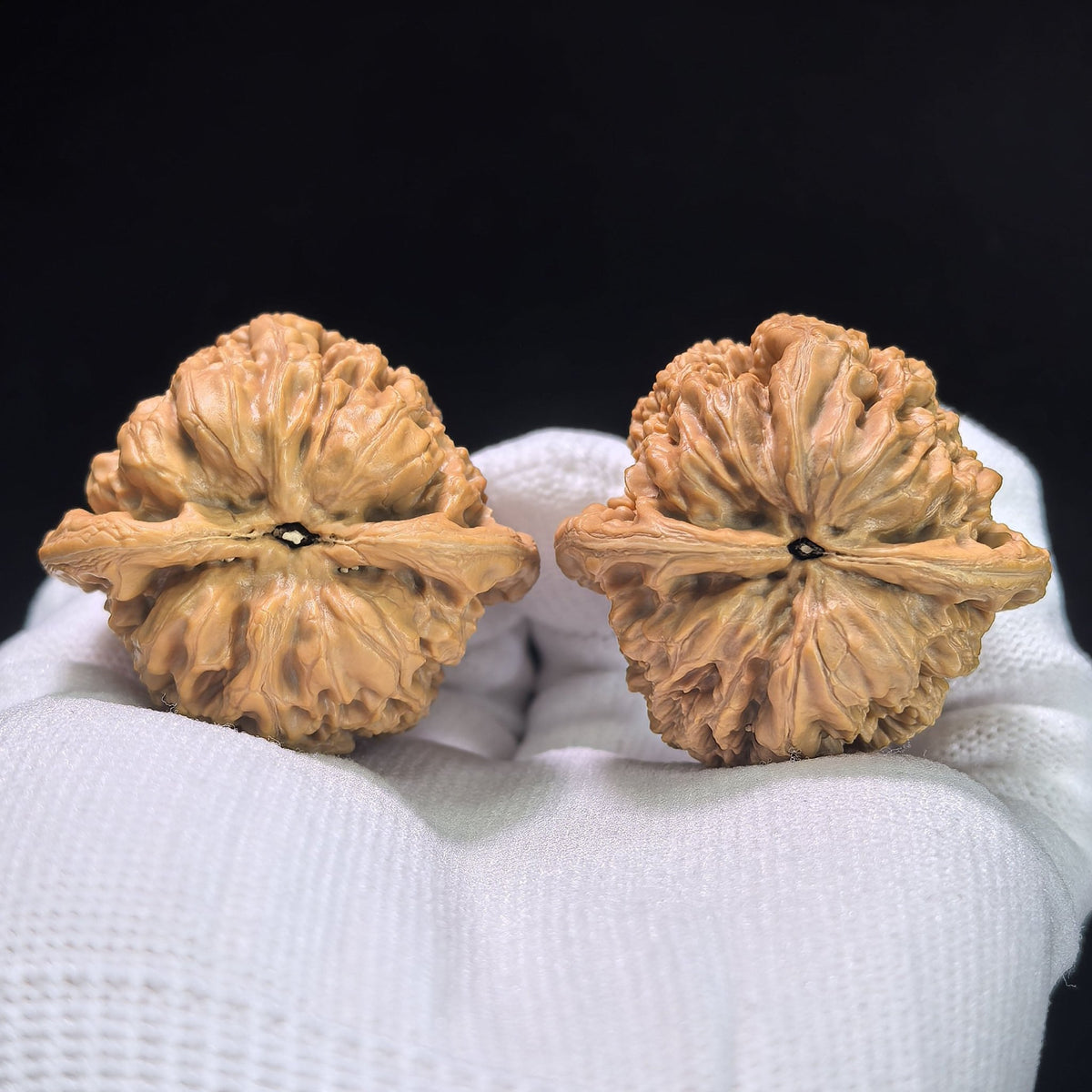 "North China General's Shoulder" Huabei Jiangjunbang Wenwan Walnuts Pair | 40.0mm x 38.0mm | HBJJB-1102 - ThePatinaProject