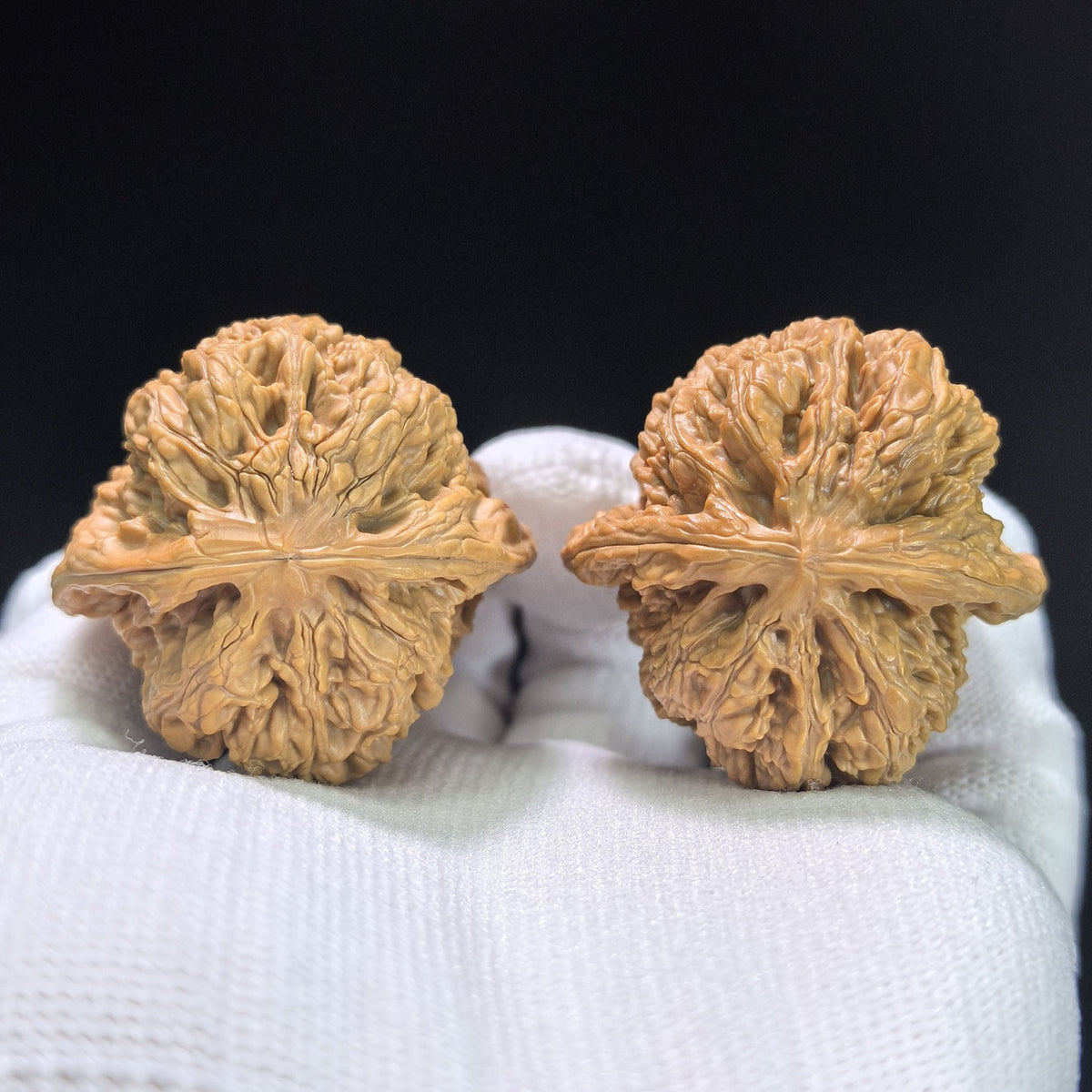"North China General's Shoulder" Huabei Jiangjunbang Wenwan Walnuts Pair | 40.0mm x 38.0mm | HBJJB-1102 - ThePatinaProject