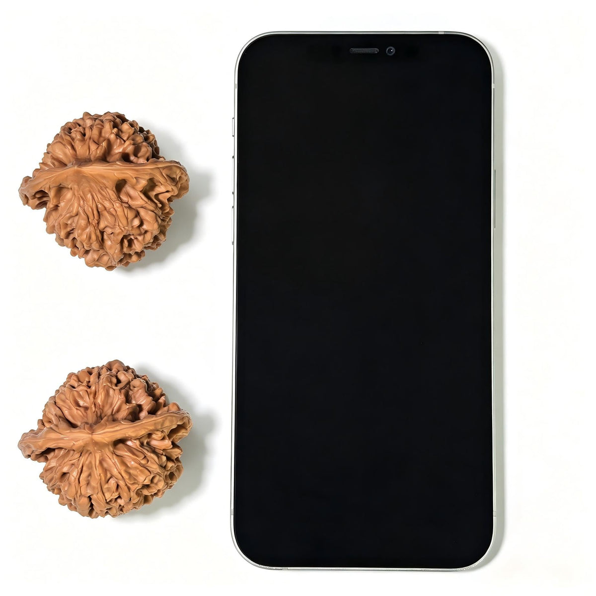 "Official Hat" Guan Mao Wenwan Walnuts (Pair) | 45.0mm x 41.0mm | Stock ID: GM-1105 - ThePatinaProject