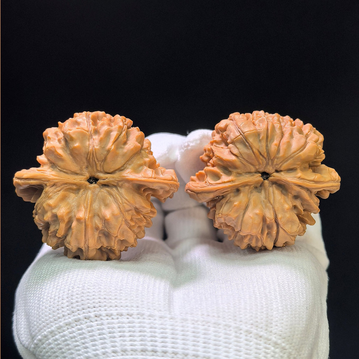 "Official Hat" Guan Mao Wenwan Walnuts (Pair) | 45.0mm x 41.0mm | Stock ID: GM-1105 - ThePatinaProject