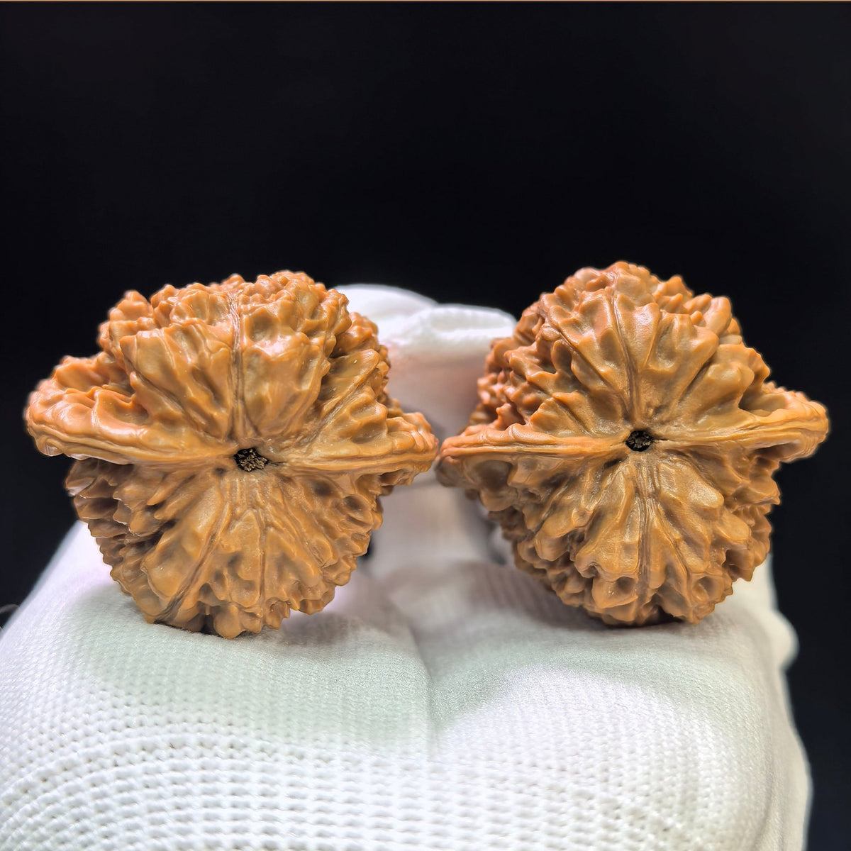 "Official Hat" Guanmao GM-1111 Classic Wenwan Walnuts Pair | 41.0mm x 39.0mm | GM-1111 - ThePatinaProject