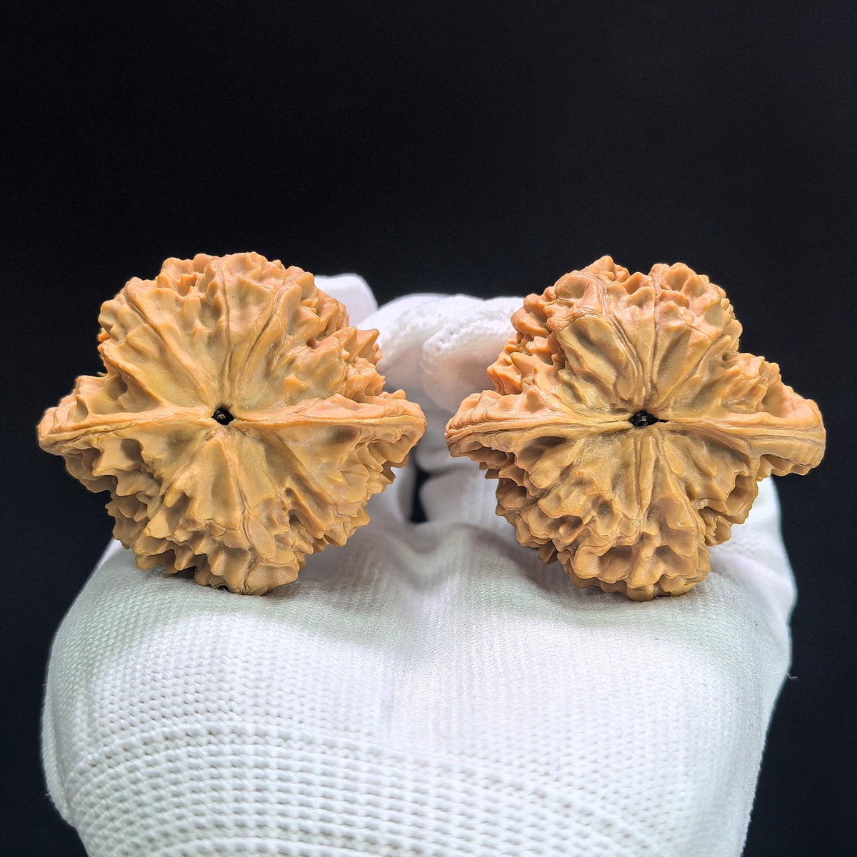 "Official Hat Low-Profile" Guanmao Aichun GM-1401 Broad-Shoulder Wenwan Walnuts Pair | 46.0mm x 41.0mm | GM-1401 - ThePatinaProject