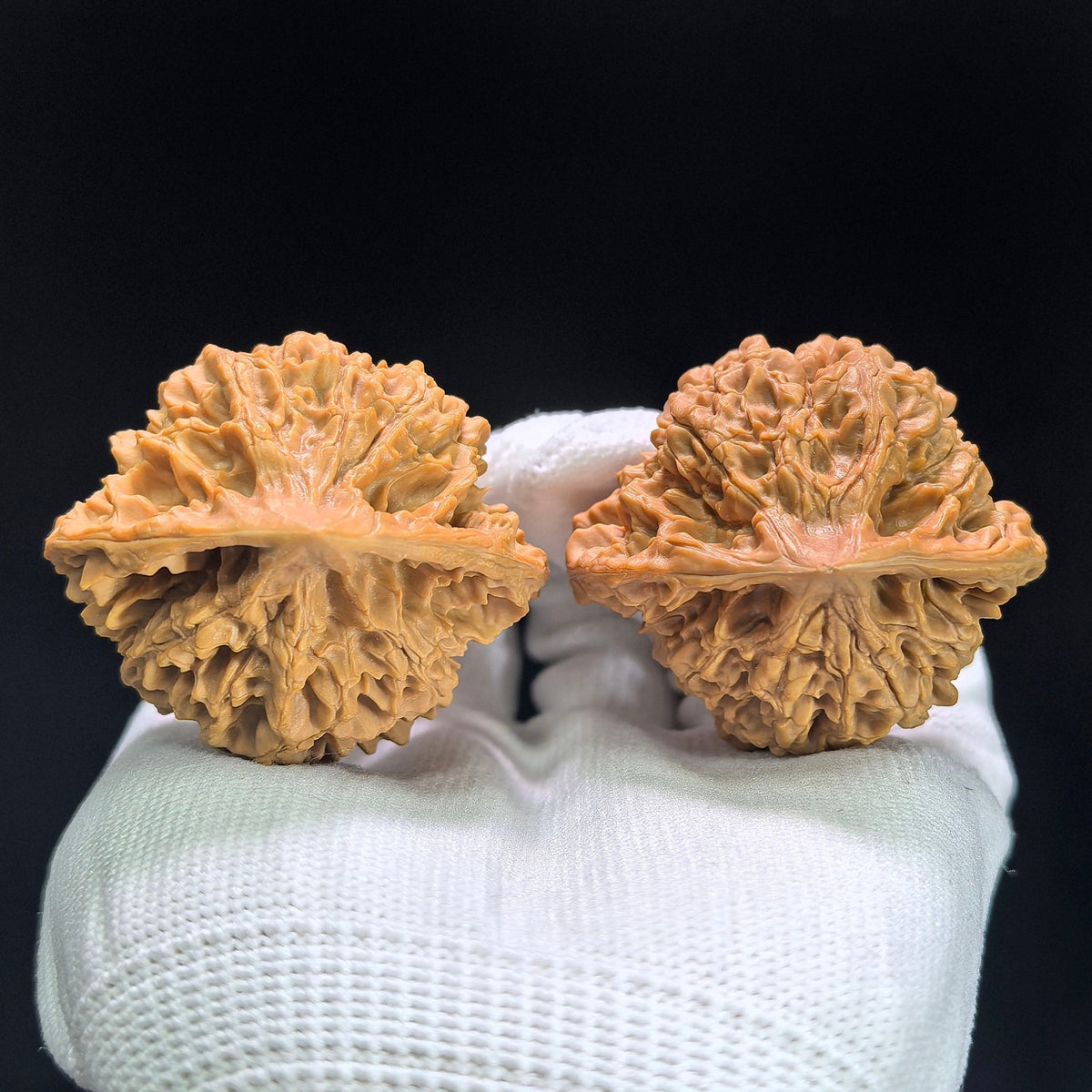 "Official Hat Low-Profile" Guanmao Aichun GM-1401 Broad-Shoulder Wenwan Walnuts Pair | 46.0mm x 41.0mm | GM-1401 - ThePatinaProject