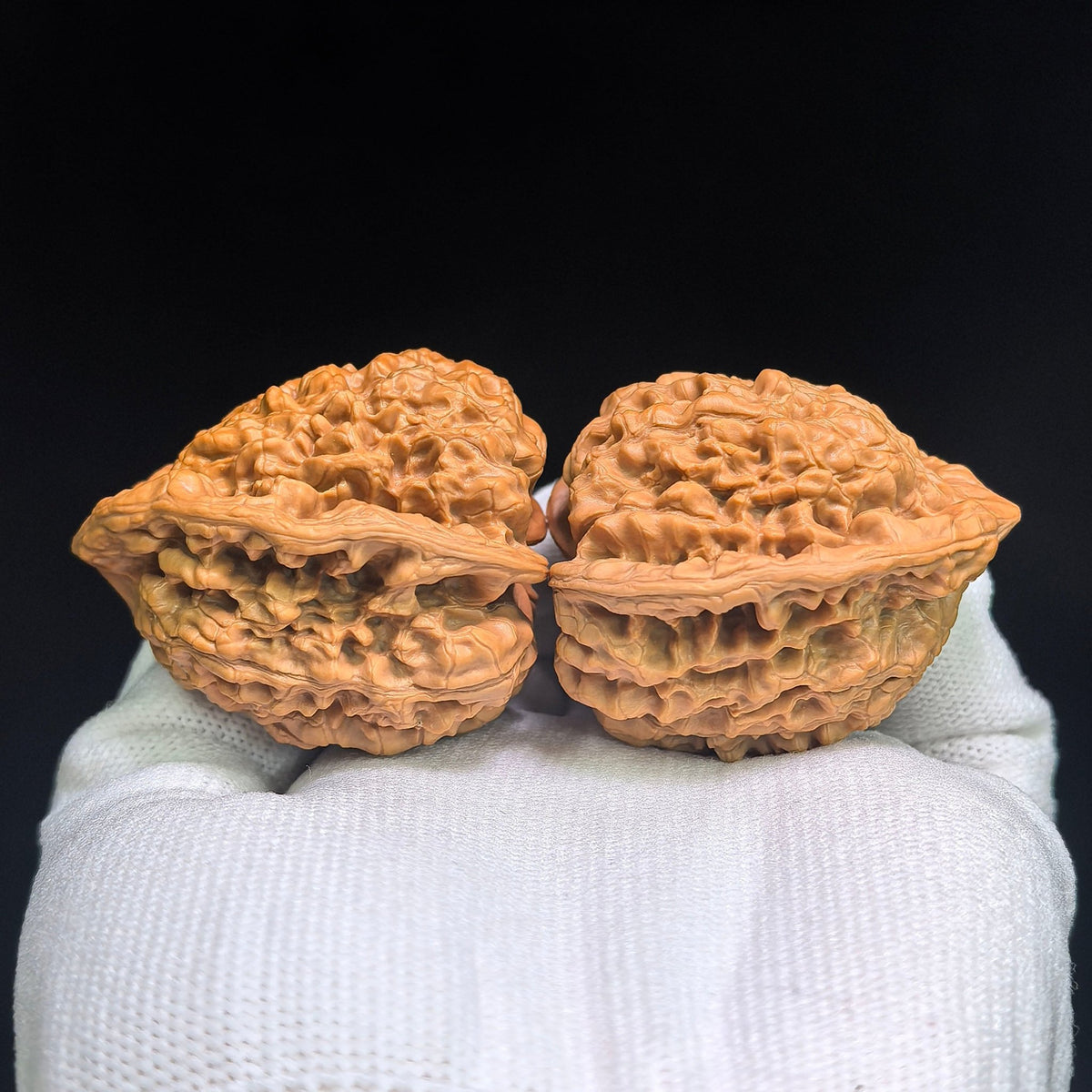 Official Hat “Turtle-Back” Wenwan Walnut Pair — 42.0mm x 38.0mm | GMZF-401E - ThePatinaProject