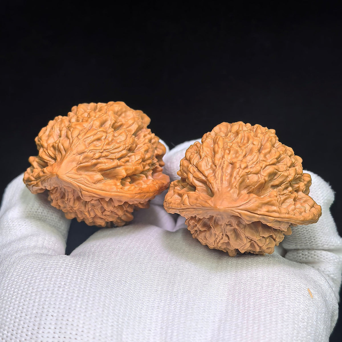 Official Hat “Turtle-Back” Wenwan Walnut Pair — 42.0mm x 38.0mm | GMZF-401E - ThePatinaProject