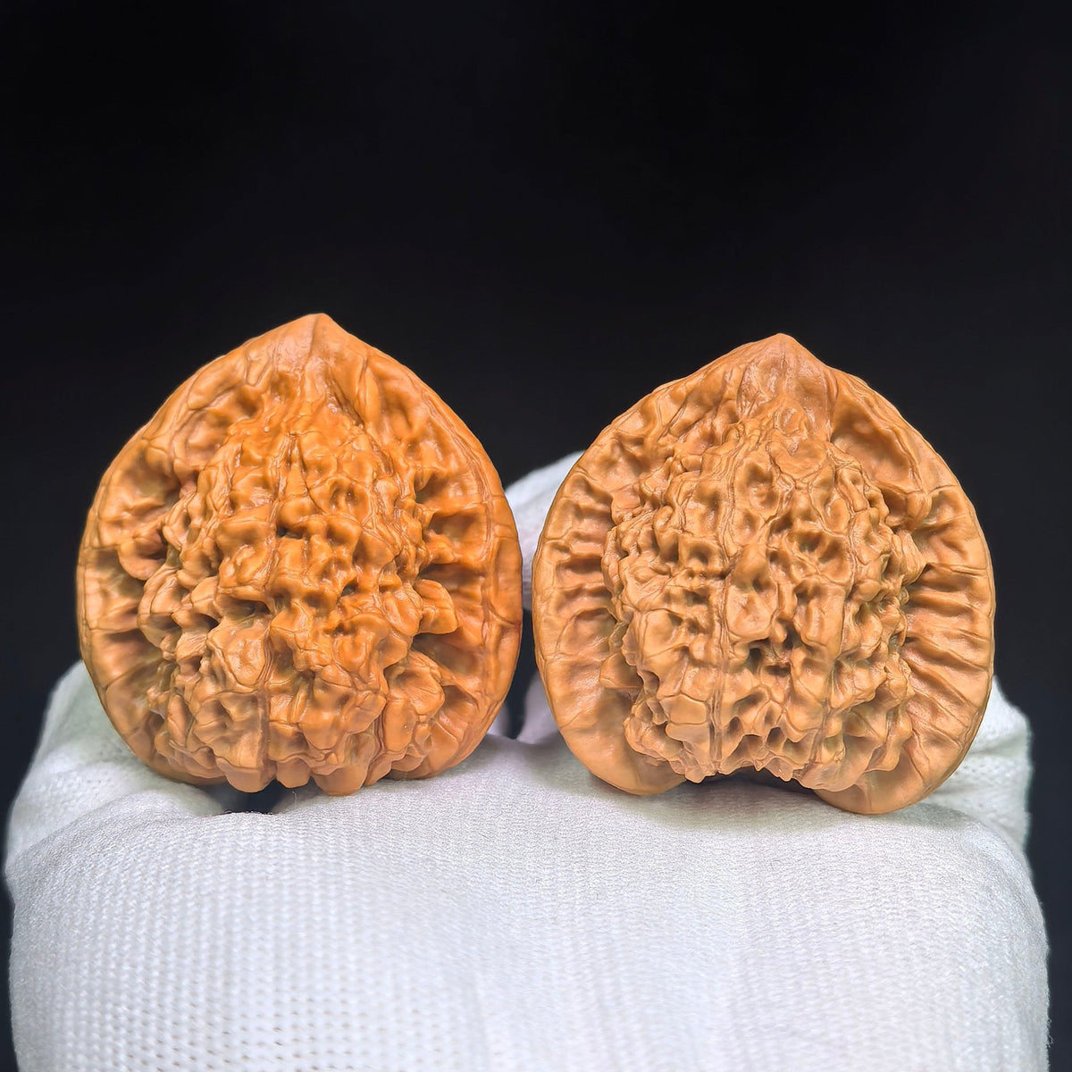 Official Hat “Turtle-Back” Wenwan Walnut Pair — 42.0mm x 38.0mm | GMZF-401E - ThePatinaProject