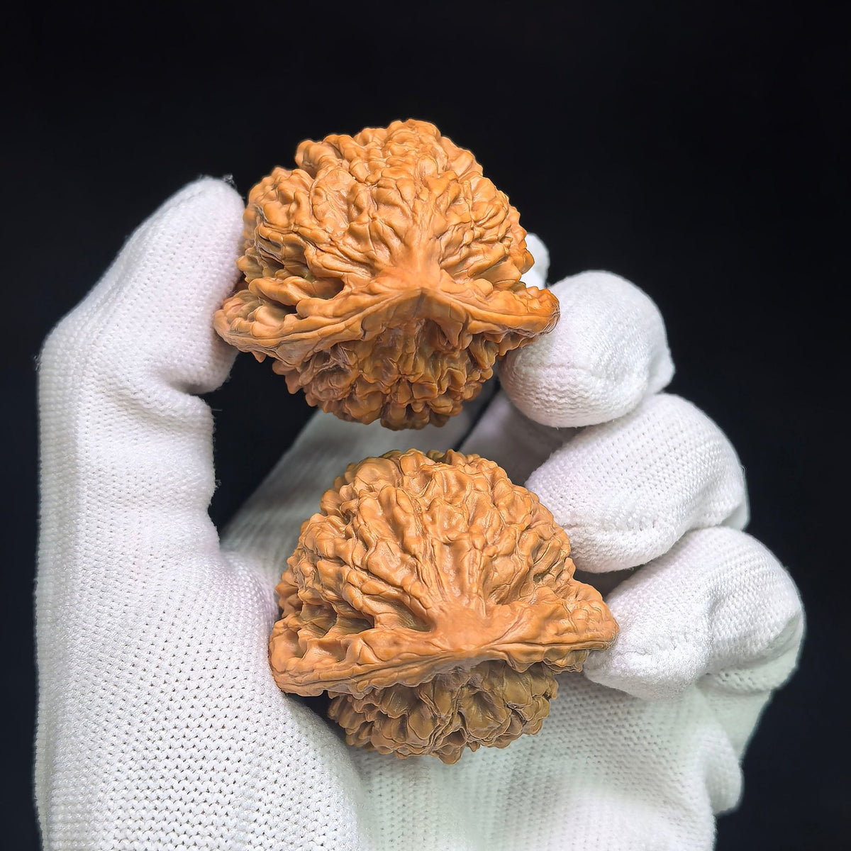 Official Hat “Turtle-Back” Wenwan Walnut Pair — 42.0mm x 38.0mm | GMZF-401E - ThePatinaProject
