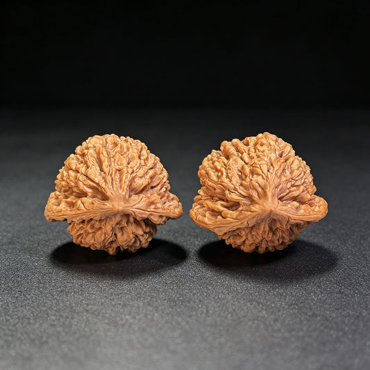 Official Hat “Turtle-Back” Wenwan Walnut Pair — 42.0mm x 38.0mm | GMZF-401E - ThePatinaProject