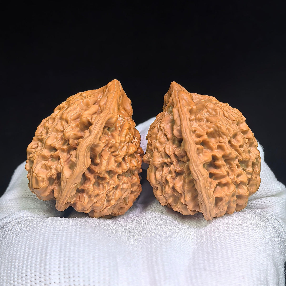 Official Hat “Turtle-Back” Wenwan Walnut Pair — 42.0mm x 38.0mm | GMZF-401E - ThePatinaProject