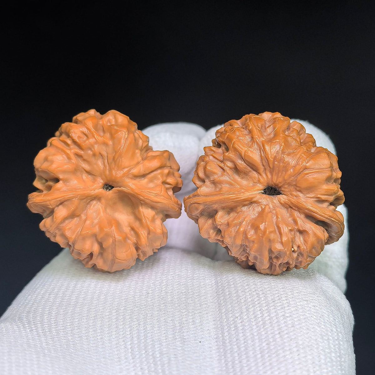 Official Hat “Woodpecker” Wenwan Walnut Pair — 34.0mm x 36.0mm | GMZF-1201E - ThePatinaProject