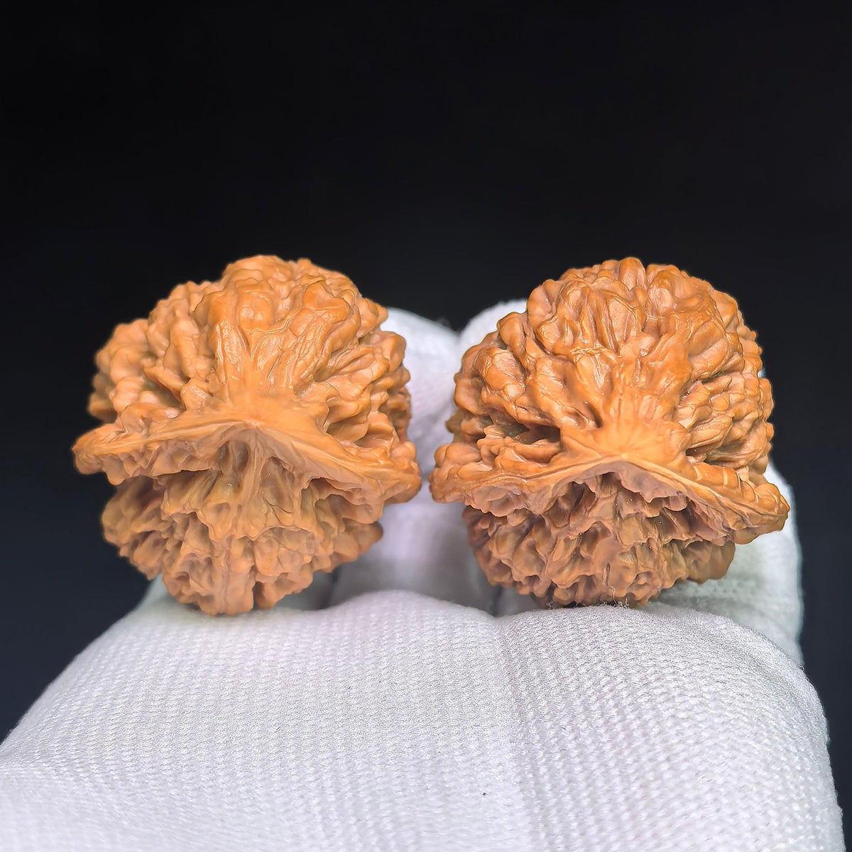 Official Hat “Woodpecker” Wenwan Walnut Pair — 34.0mm x 36.0mm | GMZF-1201E - ThePatinaProject
