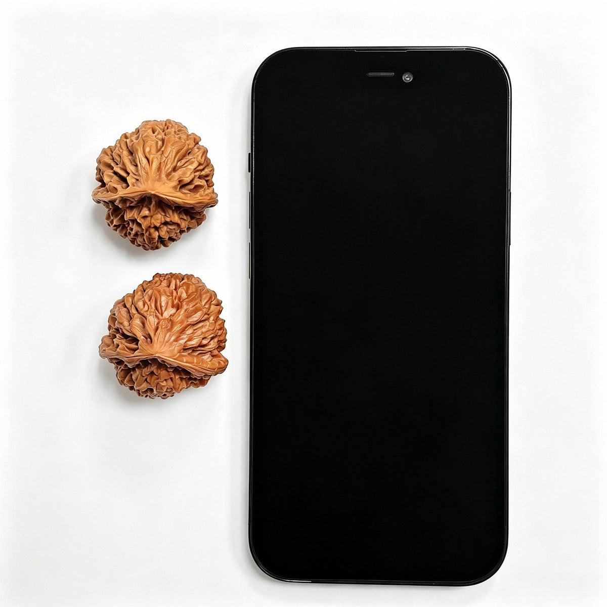 Official Hat “Woodpecker” Wenwan Walnut Pair — 34.0mm x 36.0mm | GMZF-1201E - ThePatinaProject