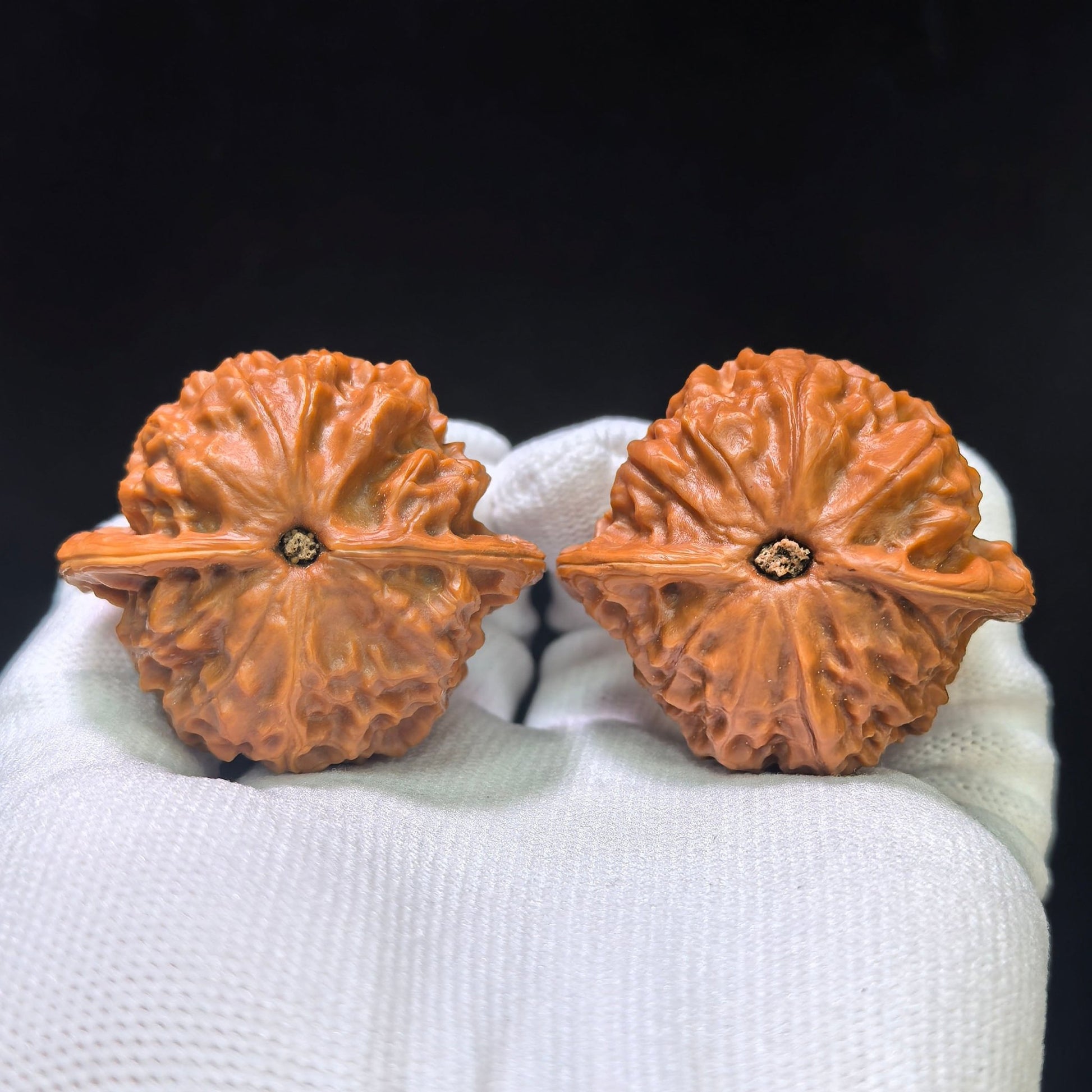 "Official Seal Porcelain Doll" Guanyin Ciwawawa Hybrid Low-Profile Wenwan Walnuts Pair | 43.0mm x 40.0mm | GY-1551C - ThePatinaProject