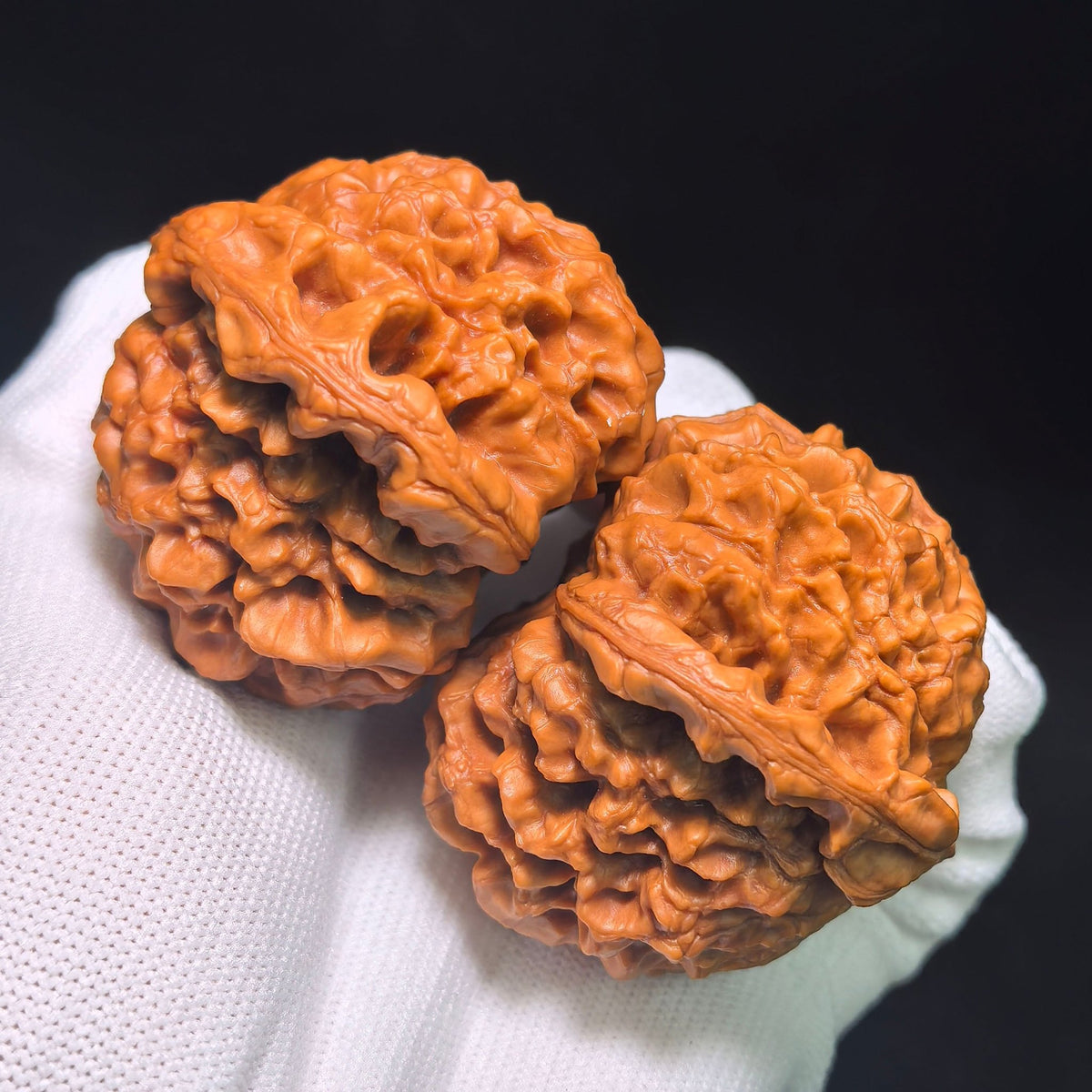 Oversized Longding (Dragon Crown) Scholar Walnut Pair — 53.0mm x 53.0mm | LD-CWB5E - ThePatinaProject