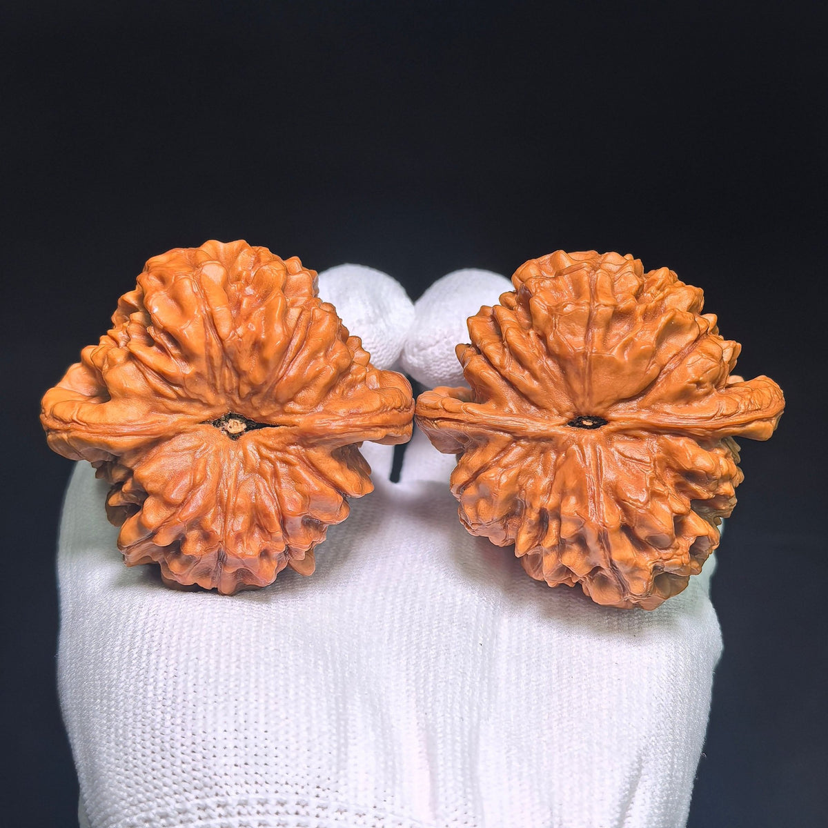 Oversized Longding (Dragon Crown) Scholar Walnut Pair — 53.0mm x 53.0mm | LD-CWB5E - ThePatinaProject