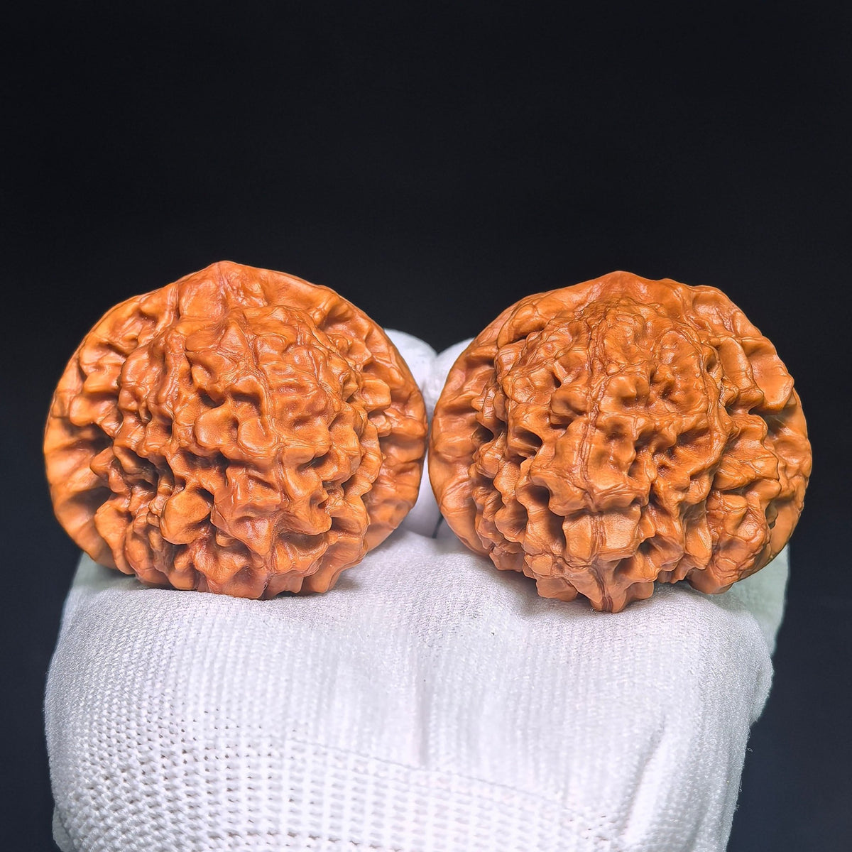 Oversized Longding (Dragon Crown) Scholar Walnut Pair — 53.0mm x 53.0mm | LD-CWB5E - ThePatinaProject