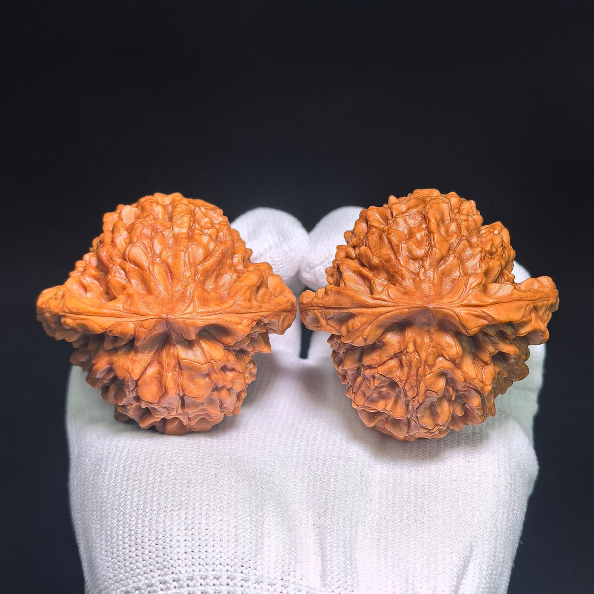 Oversized Longding (Dragon Crown) Scholar Walnut Pair — 53.0mm x 53.0mm | LD-CWB5E - ThePatinaProject