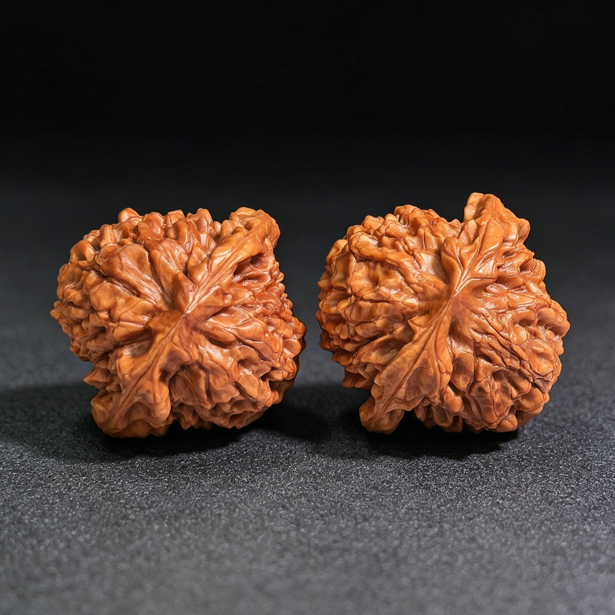 Oversized Longding (Dragon Crown) Scholar Walnut Pair — 53.0mm x 53.0mm | LD-CWB5E - ThePatinaProject