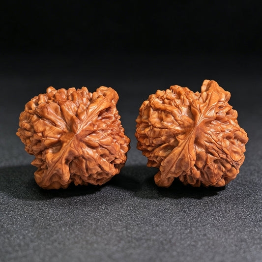 Oversized Longding (Dragon Crown) Scholar Walnut Pair — 53.0mm x 53.0mm | LD-CWB5E - ThePatinaProject