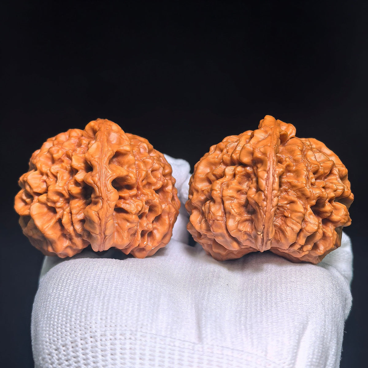 Oversized Longding (Dragon Crown) Scholar Walnut Pair — 53.0mm x 53.0mm | LD-CWB5E - ThePatinaProject