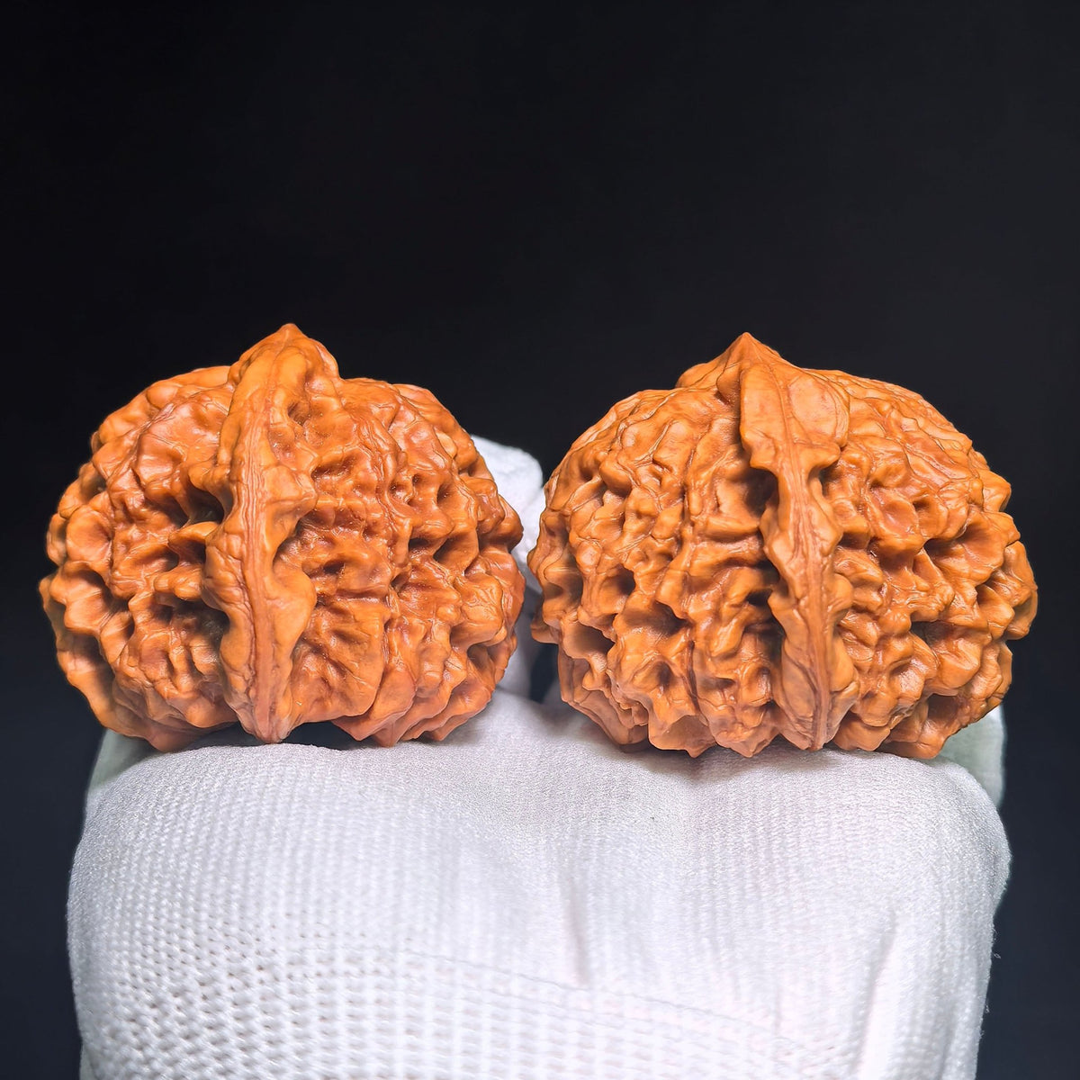 Oversized Longding (Dragon Crown) Scholar Walnut Pair — 53.0mm x 53.0mm | LD-CWB5E - ThePatinaProject