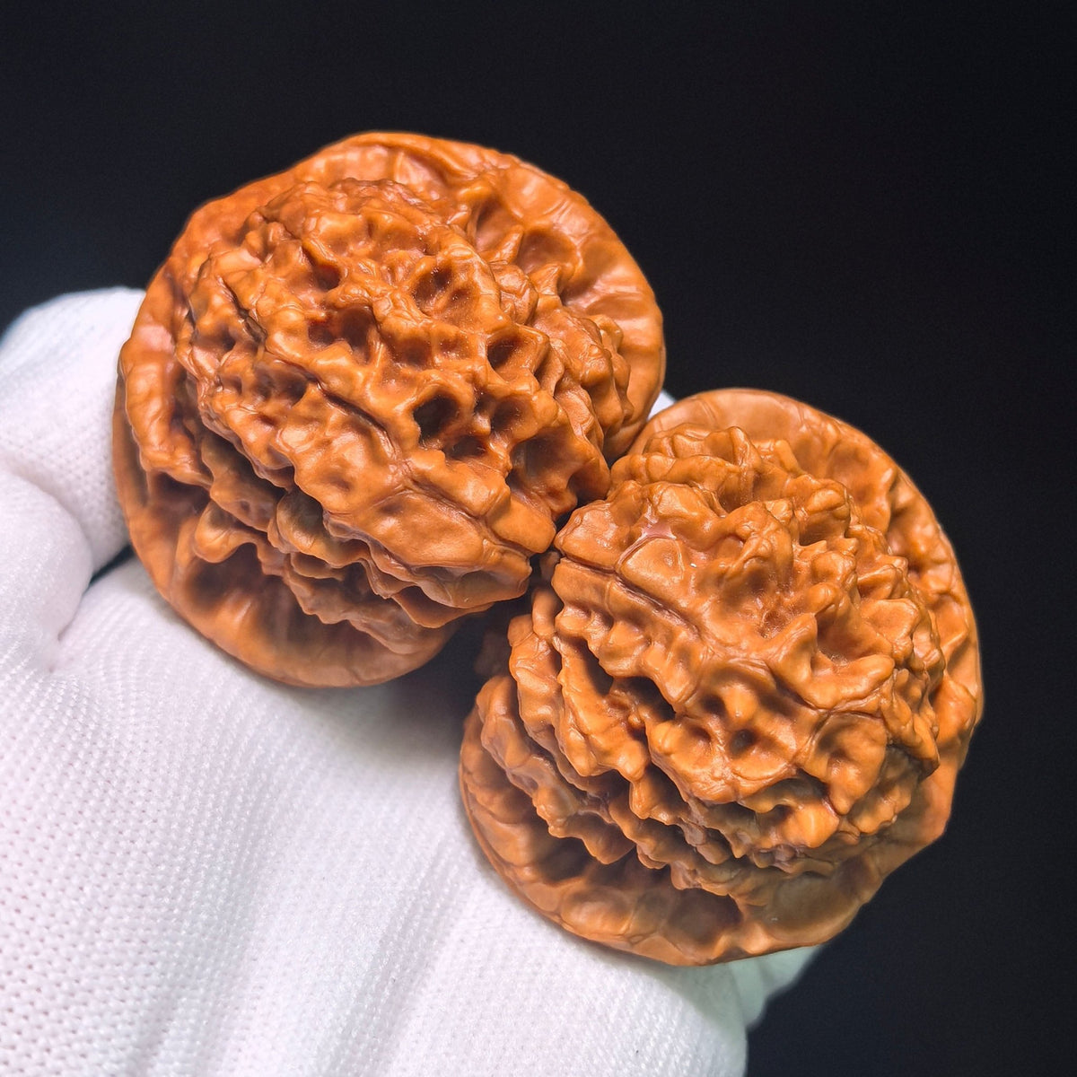 Oversized Longding (Dragon Crown) Scholar Walnut Pair — 53.0mm x 53.0mm | LD-CWB5E - ThePatinaProject