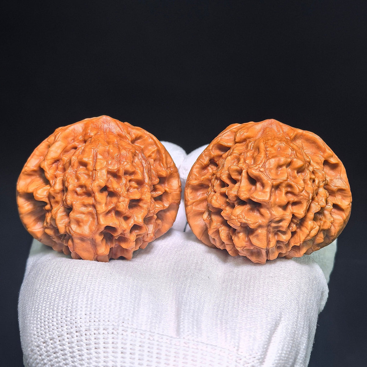 Oversized Longding (Dragon Crown) Scholar Walnut Pair — 53.0mm x 53.0mm | LD-CWB5E - ThePatinaProject
