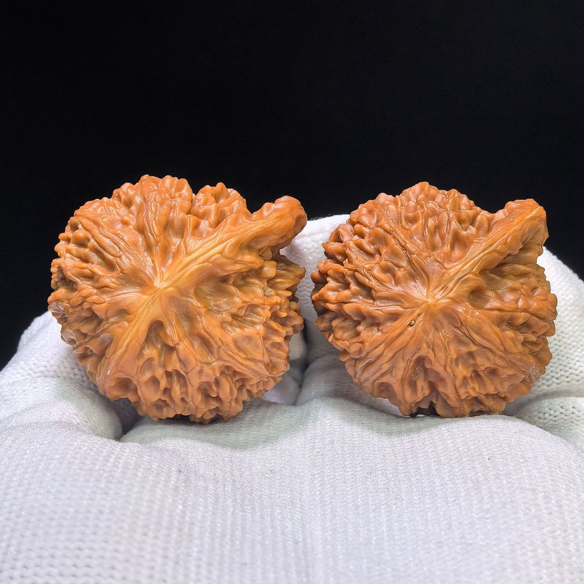 "Palace Lantern Butterfly Smooth-Sailing" (Gongdeng Hudie Yifan) Scholar Walnuts Pair | 39.0mm x 37.0mm | Singularities Grade Masterpiece | Stock ID: GDHDYF-CG205E - ThePatinaProject