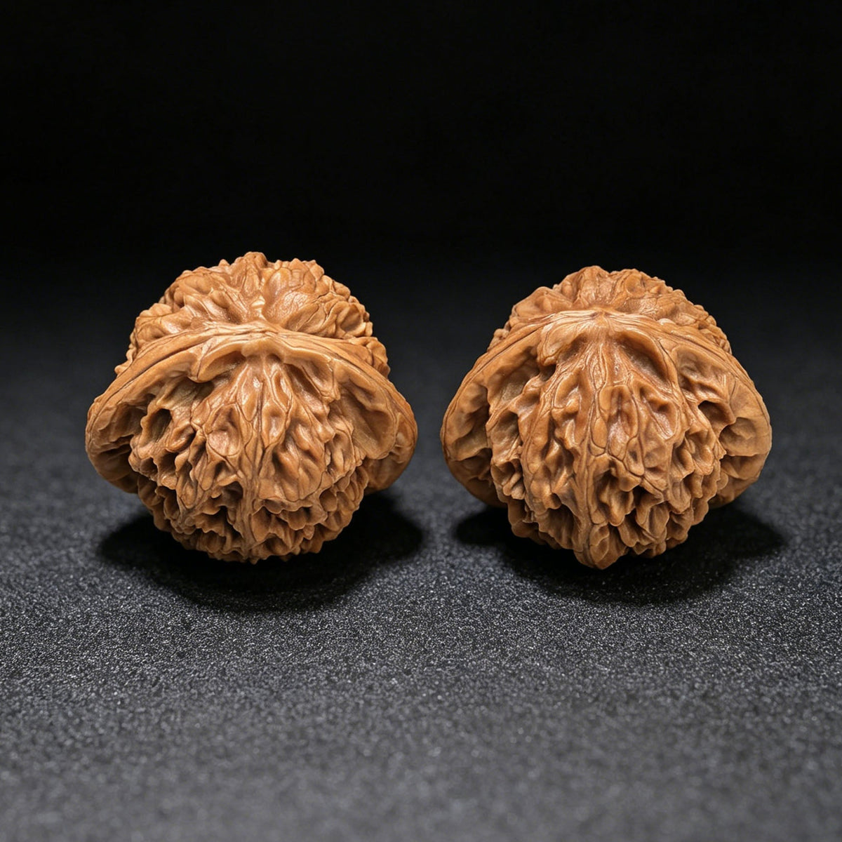 "Palace Lantern Flying Snake Turtle Back" Gdfsgb-CG219E Wenwan Walnuts Pair | 40.0mm x 38.0mm | GDFSGB-CG219E - ThePatinaProject