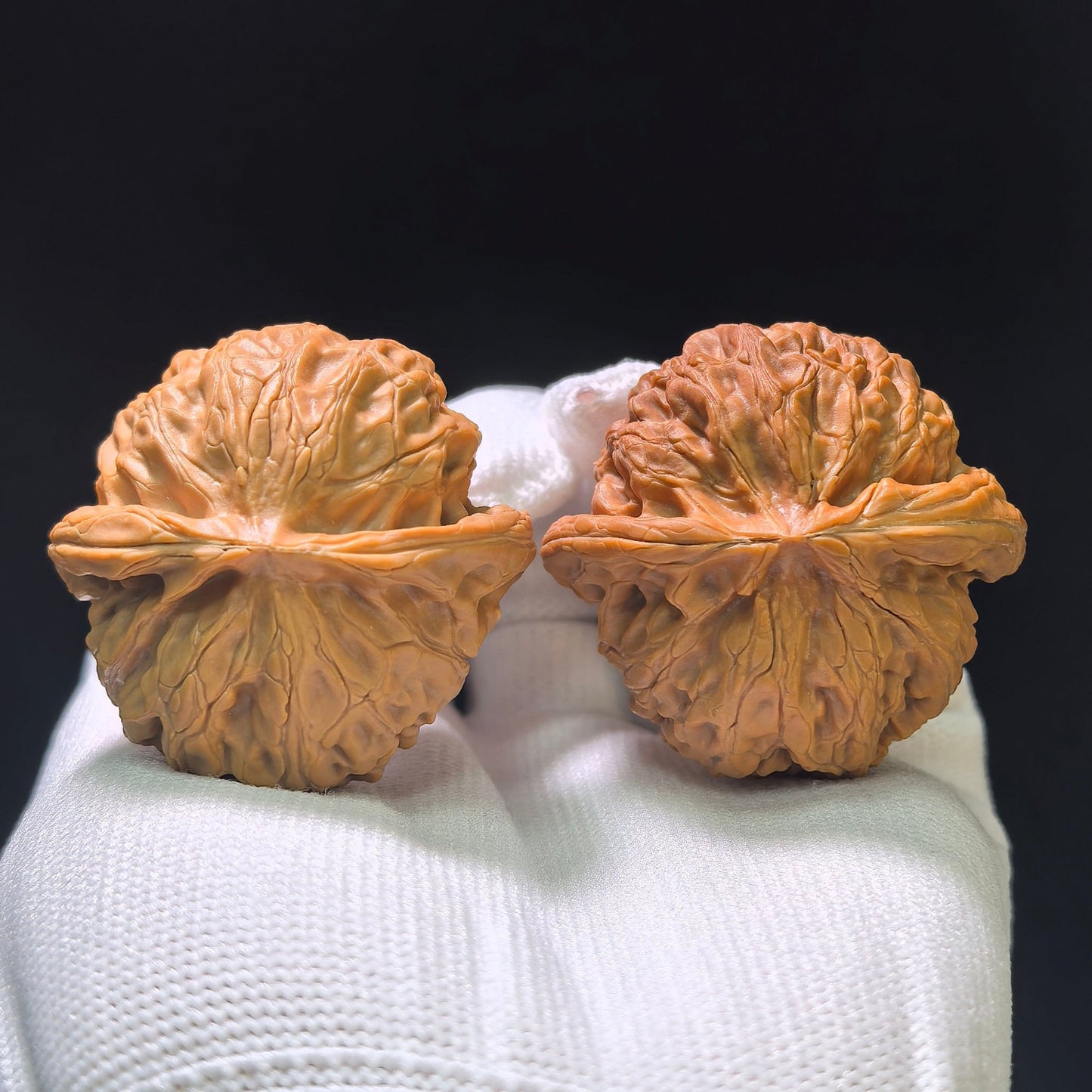 "Palace Lantern" (Gongdeng) Scholar Walnuts Pair | 42.0mm x 39.0mm | Classic Low-Profile Silhouette | Collector Grade Curation | Stock ID: GD-1101 - ThePatinaProject