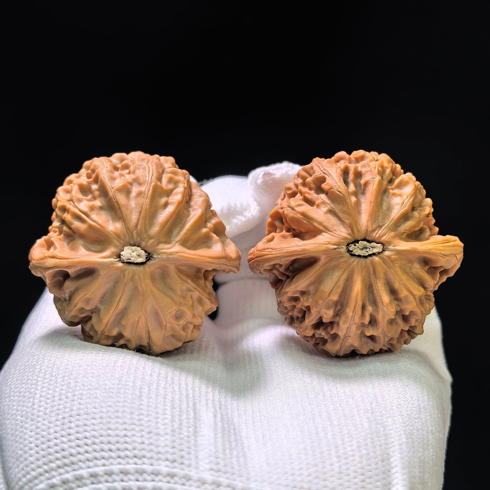 "Palace Lantern" (Gongdeng) Scholar Walnuts Pair | 42.0mm x 39.0mm | Classic Low-Profile Silhouette | Collector Grade Curation | Stock ID: GD-1101 - ThePatinaProject