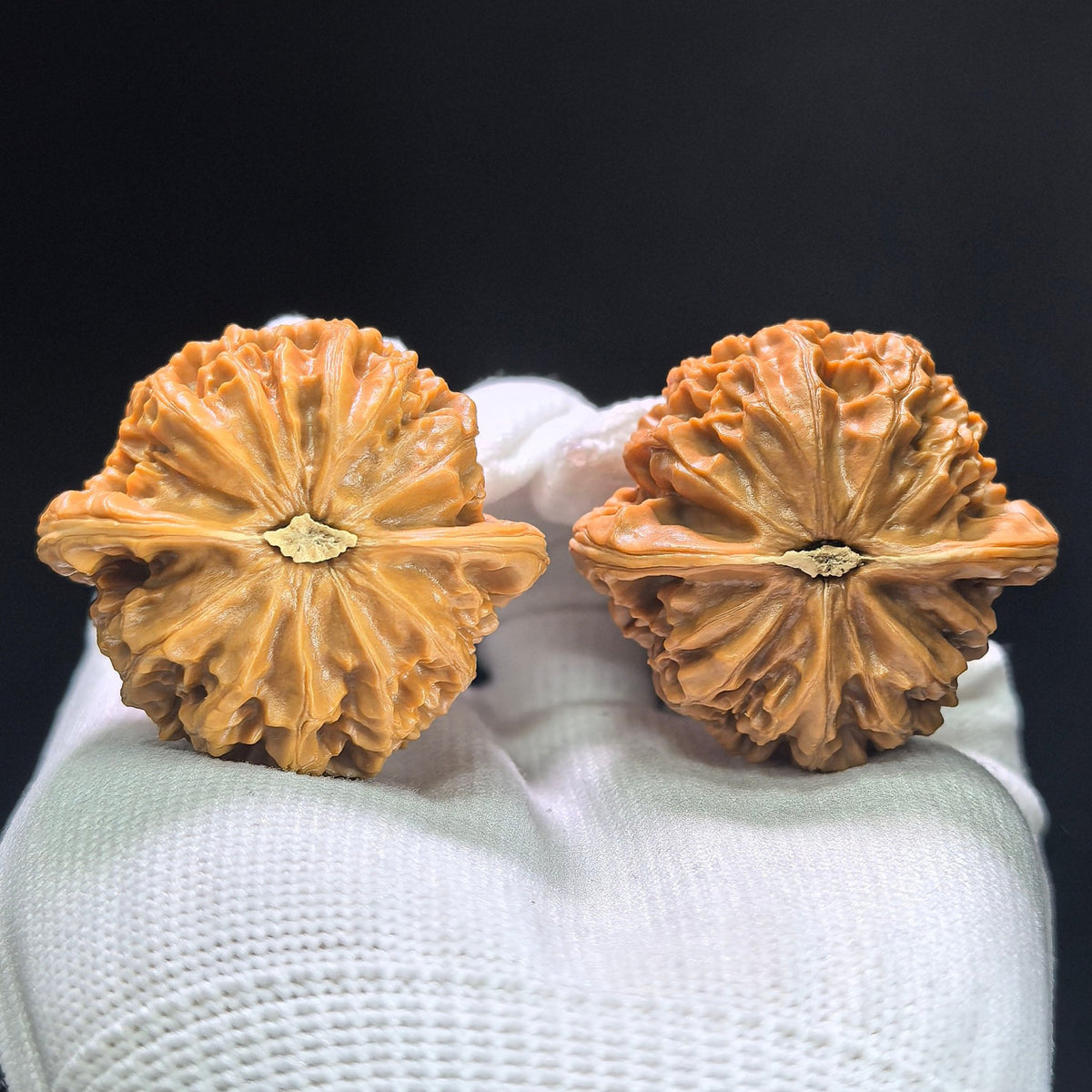 "Palace Lantern" Gongdeng Wenwan Walnuts Pair | 41.0mm x 38.0mm | GD-1404 - ThePatinaProject