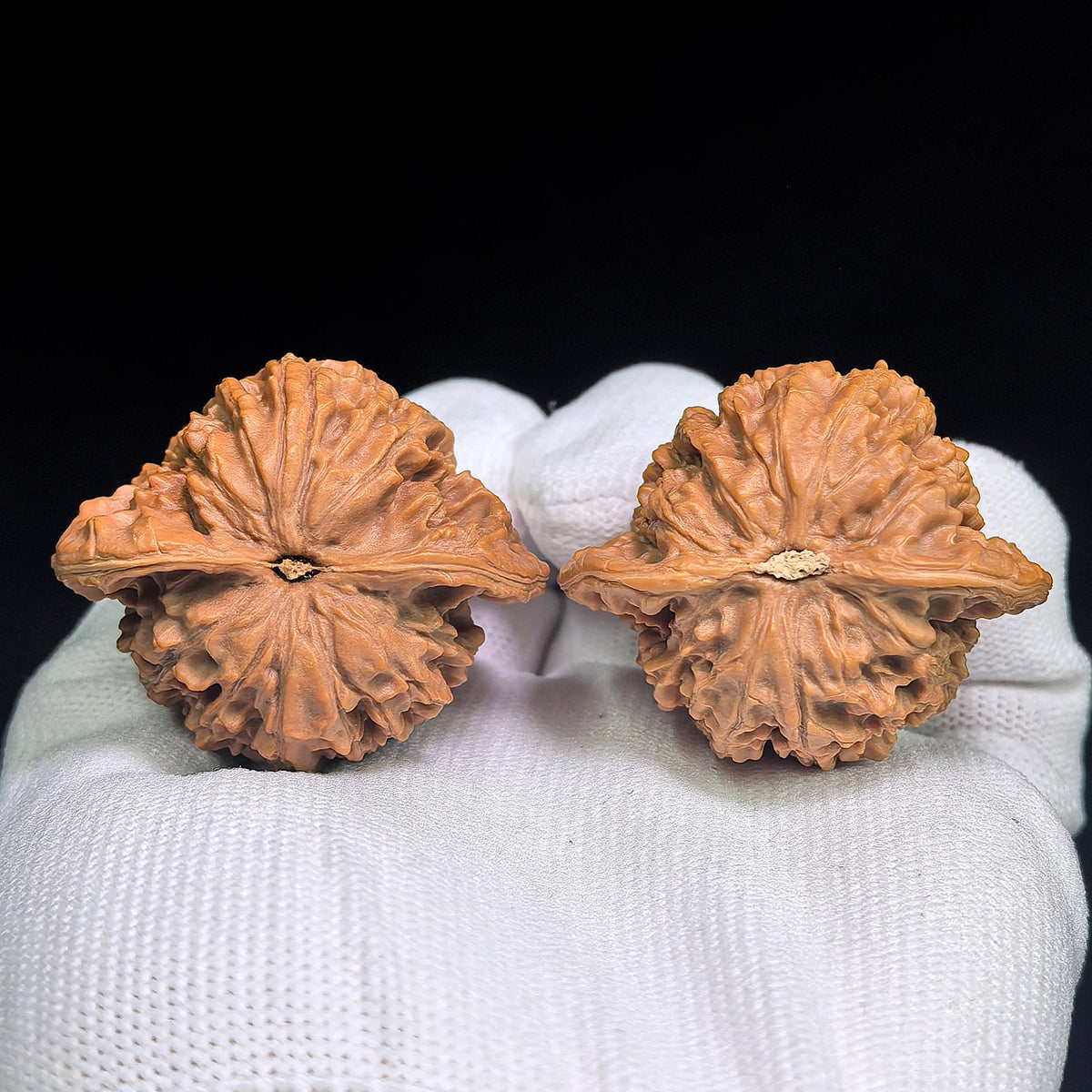 Panlongwen Wenwan Walnuts Pair | Layered Coiling Texture & Balanced Form | 41 × 35 mm | PLW-19B6 - ThePatinaProject