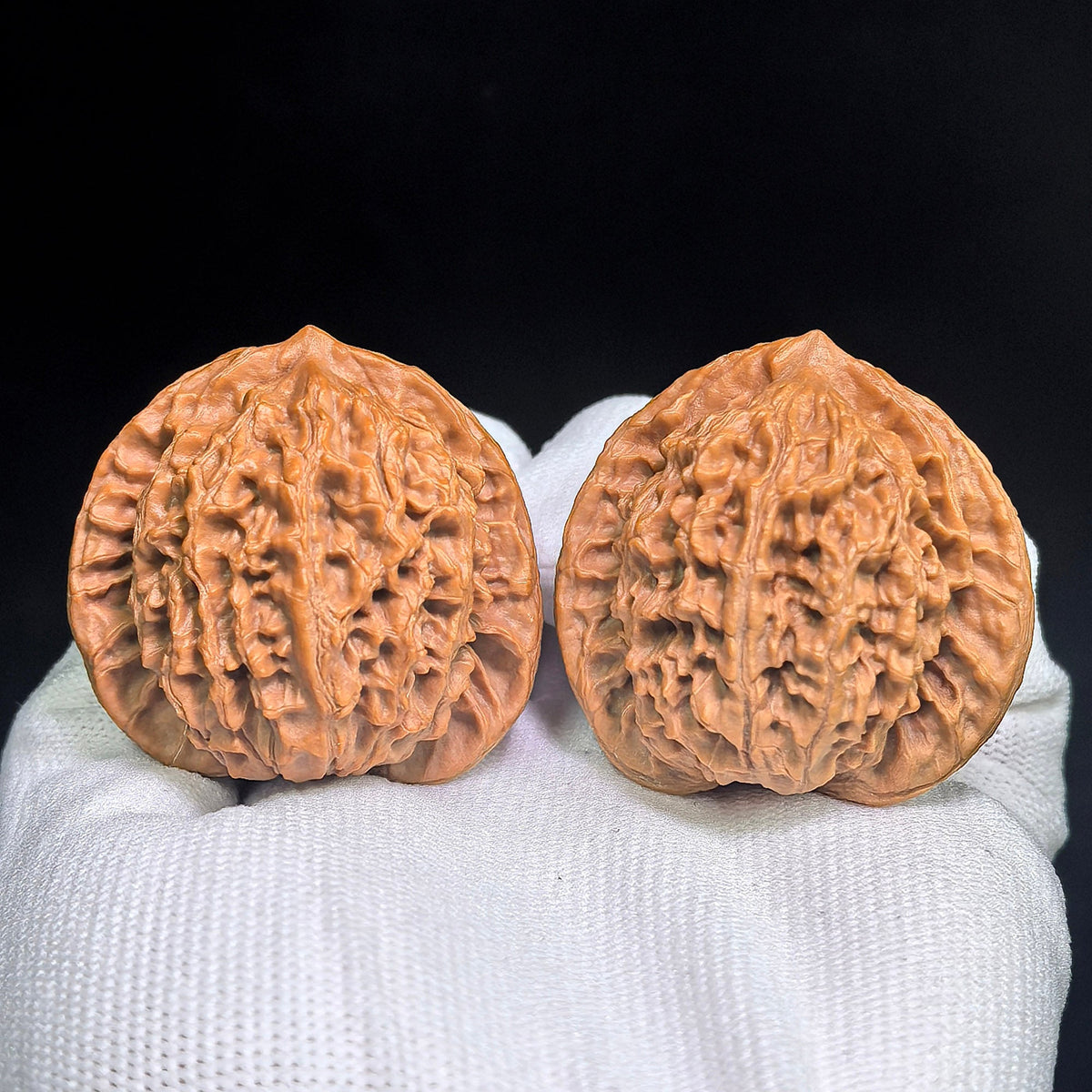 Panlongwen Wenwan Walnuts Pair | Layered Coiling Texture & Balanced Form | 41 × 35 mm | PLW-19B6 - ThePatinaProject
