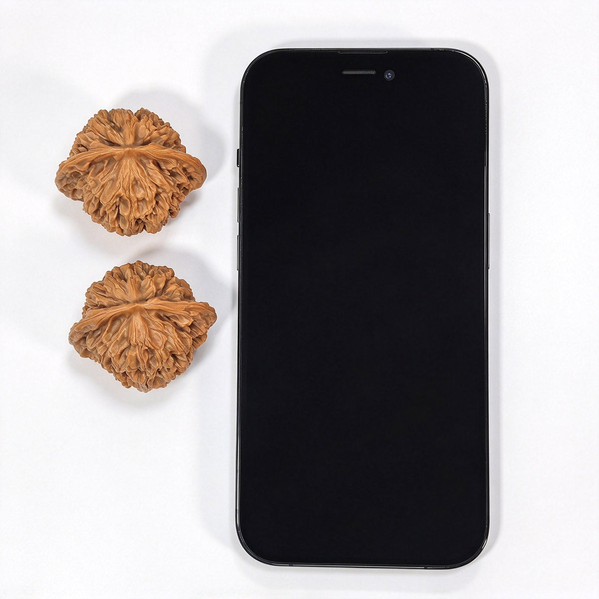 Panlongwen Wenwan Walnuts Pair | Layered Coiling Texture & Balanced Form | 41 × 35 mm | PLW-19B6 - ThePatinaProject