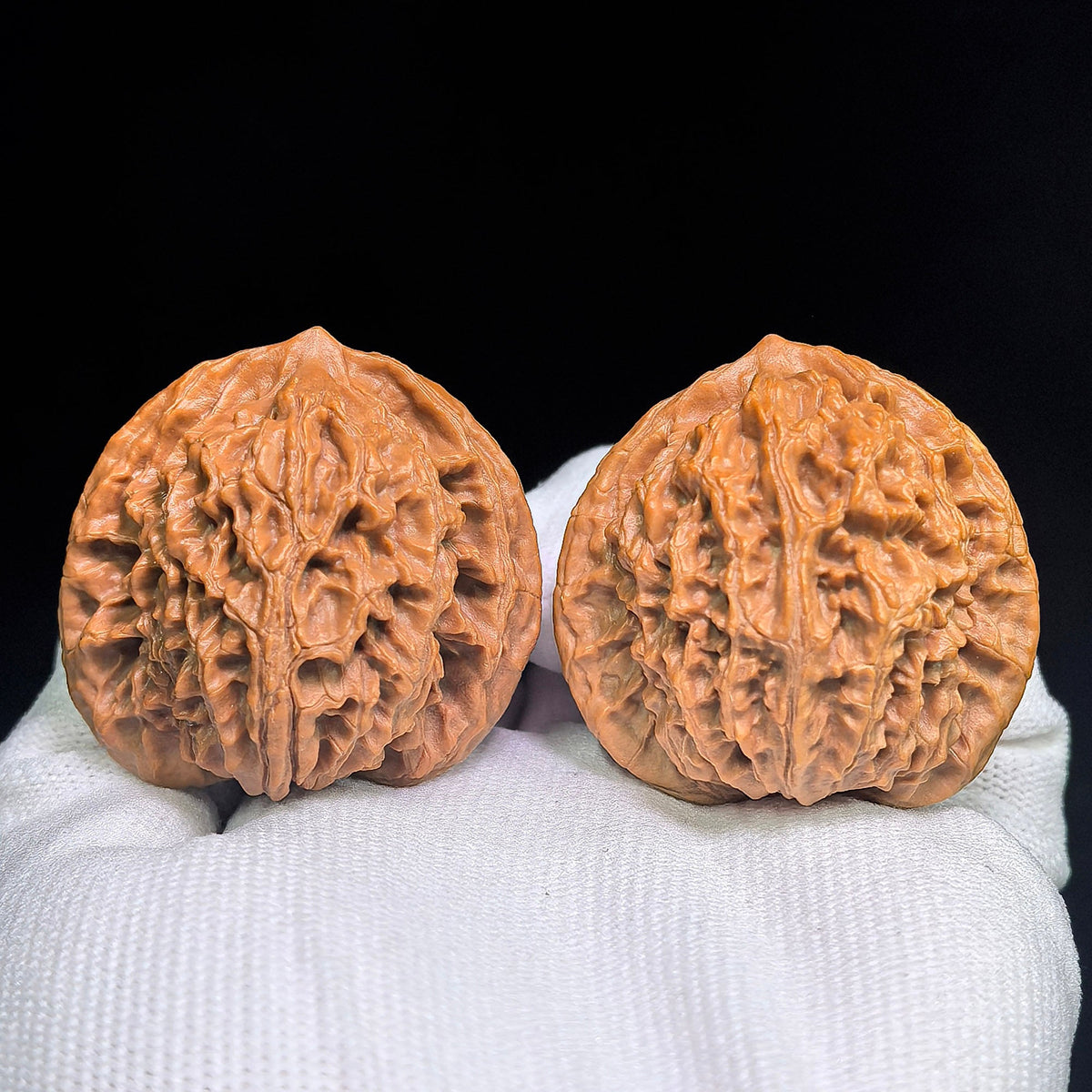 Panlongwen Wenwan Walnuts Pair | Layered Coiling Texture & Balanced Form | 41 × 35 mm | PLW-19B6 - ThePatinaProject