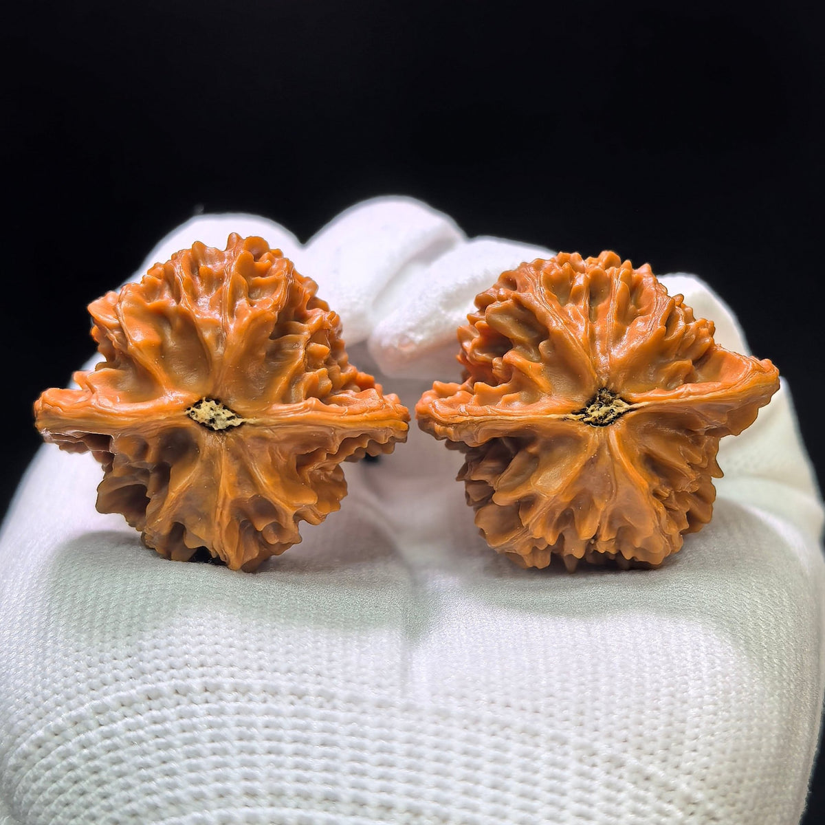 "Panshan" Panshan Wenwan Walnuts Pair | 36.0mm x 33.0mm | PS-1401 - ThePatinaProject