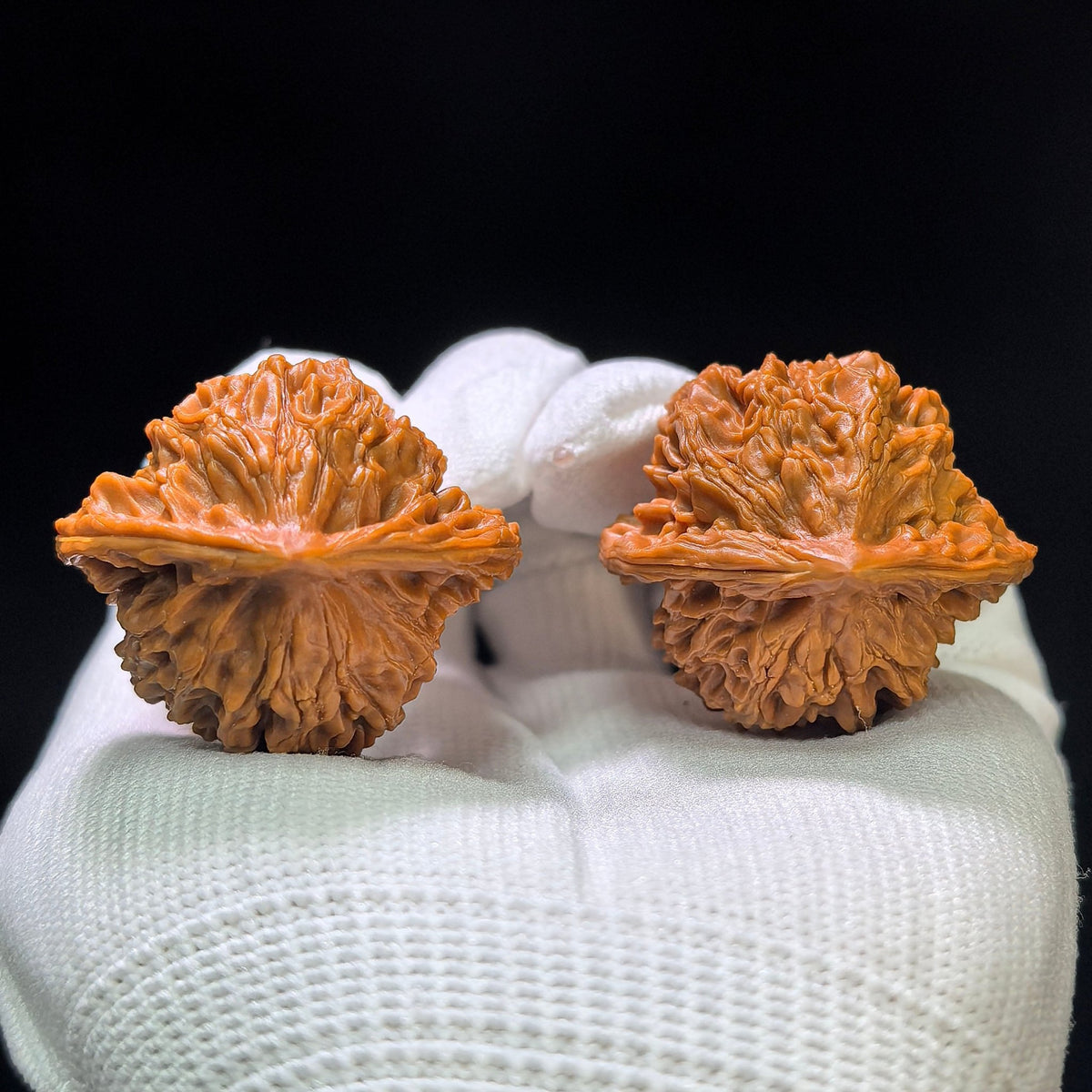 "Panshan" Panshan Wenwan Walnuts Pair | 36.0mm x 33.0mm | PS-1401 - ThePatinaProject
