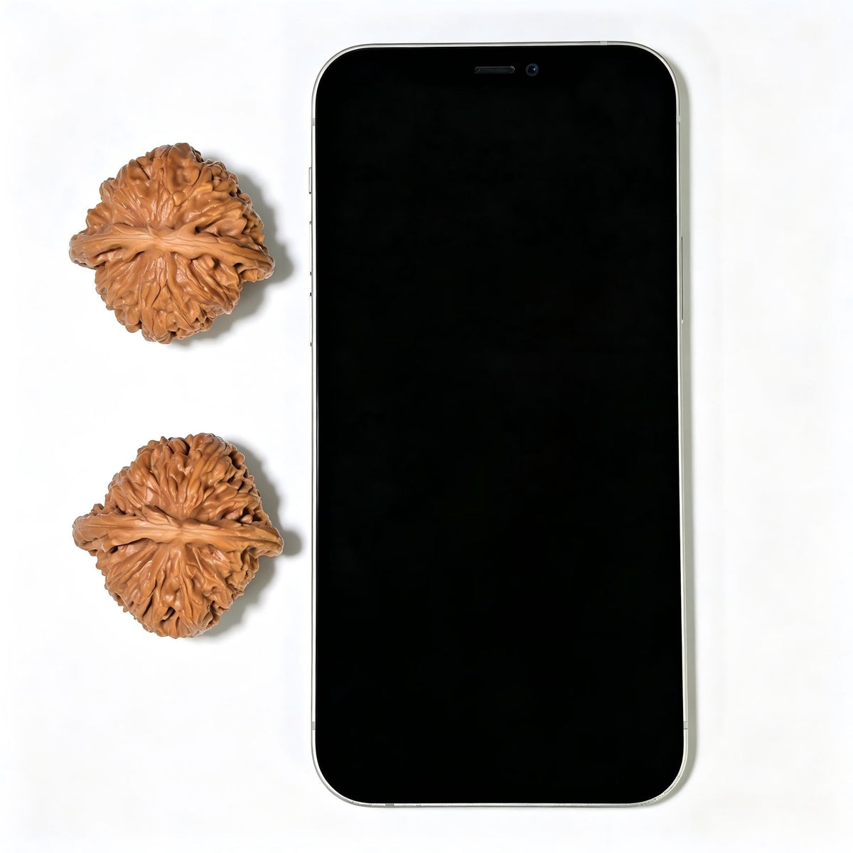 "Panshan" Panshan Wenwan Walnuts (Pair) | 39.0mm x 38.0mm | Stock ID: PS-1402 - ThePatinaProject