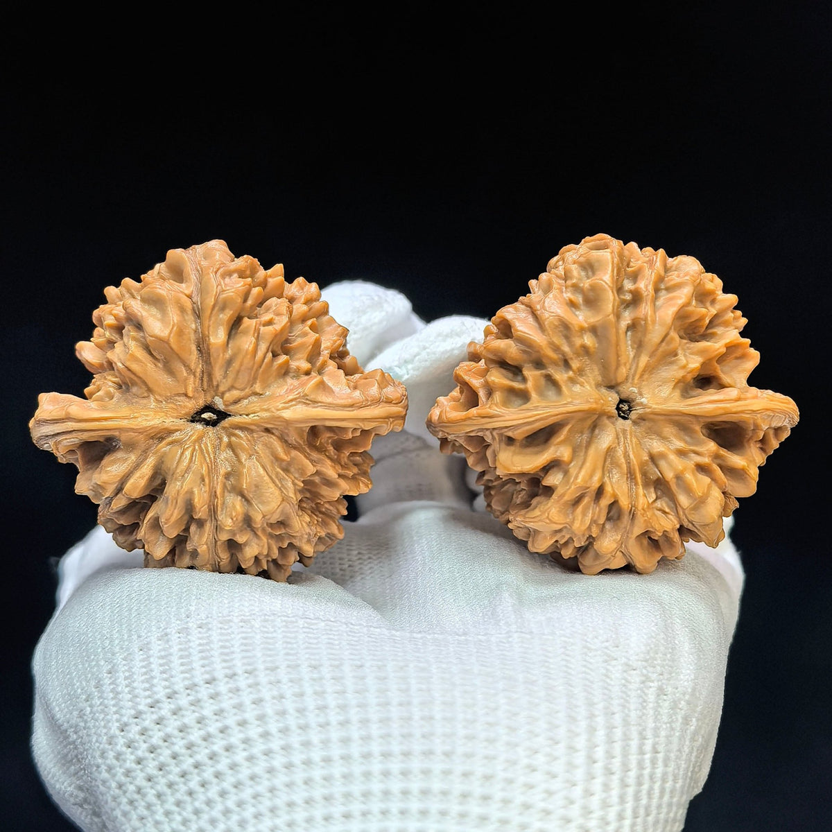 "Peach-Heart Concave Base Kylin" Taoxin Aodi Qilinwen Low-Profile Wenwan Walnuts Pair | 46.0mm x 43.0mm | TXADQLW-1503C - ThePatinaProject