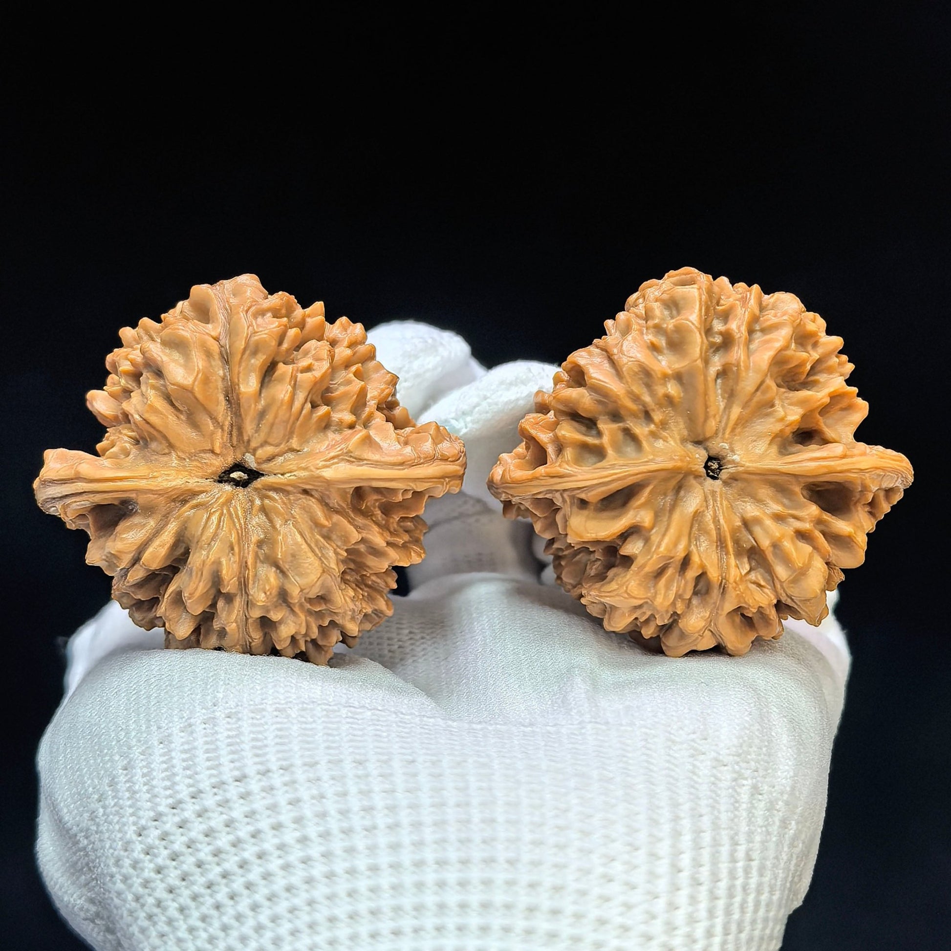 "Peach-Heart Concave Base Kylin" Taoxin Aodi Qilinwen Low-Profile Wenwan Walnuts Pair | 46.0mm x 43.0mm | TXADQLW-1503C - ThePatinaProject