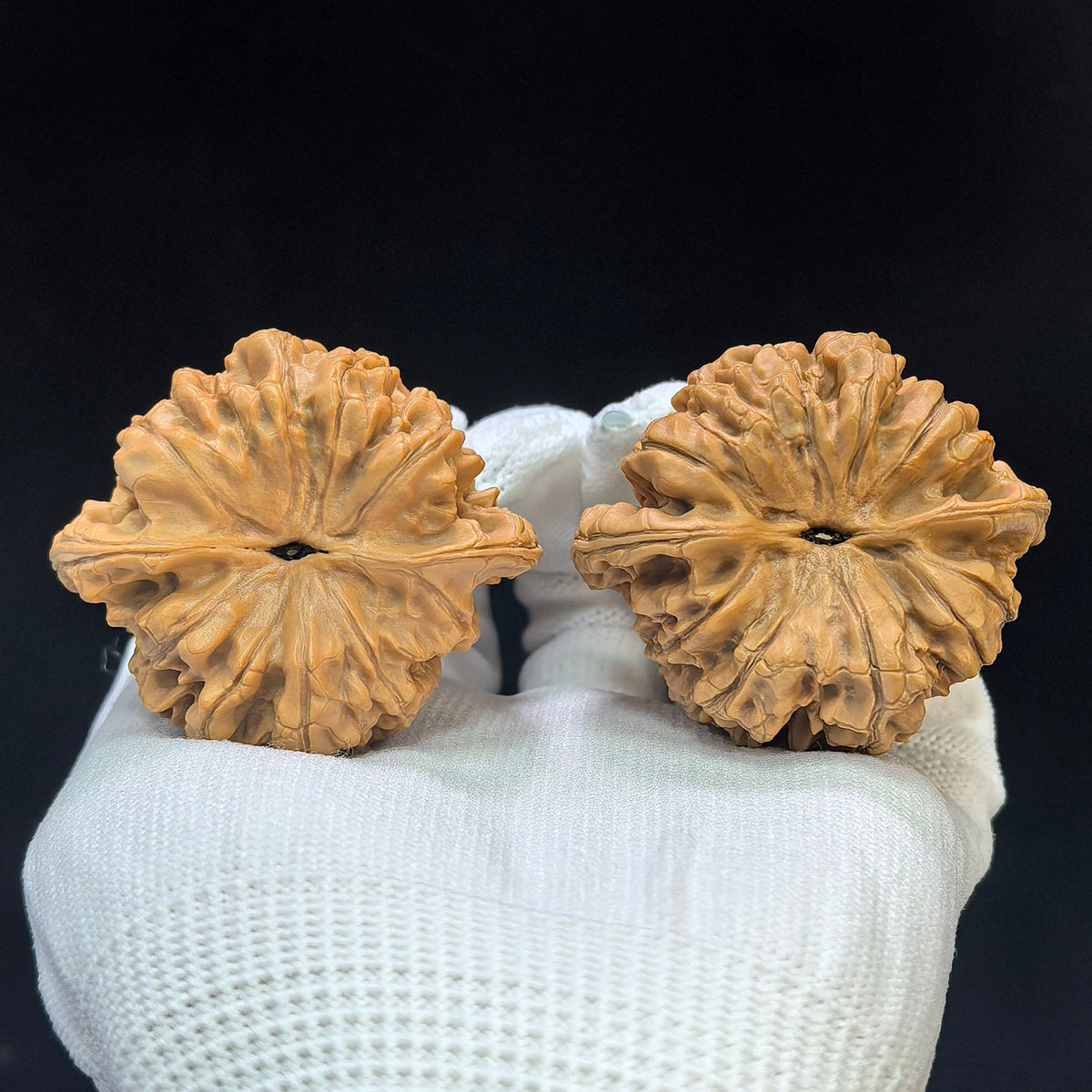 "Peach-Heart Concave Base Kylin" Taoxin Aodi Qilinwen Low-Profile Wenwan Walnuts Pair | 48.0mm x 43.0mm | TXADQLW-1501C - ThePatinaProject