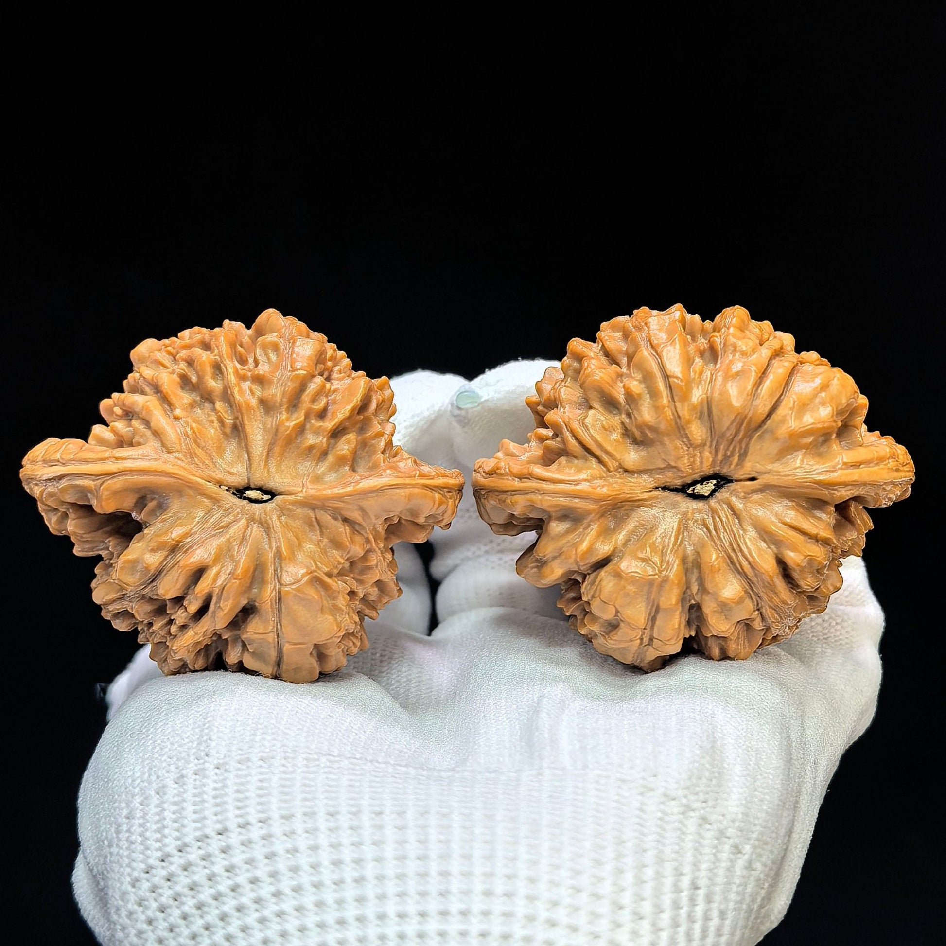 "Peach-Heart Concave Base Kylin" Taoxin Aodi Qilinwen Low-Profile Wenwan Walnuts Pair | 52.0mm x 44.0mm | TXADQLW-1502C - ThePatinaProject