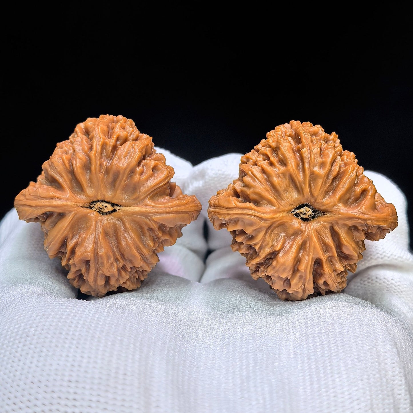 "Peach-Heart Concave Base Nanjiangshi" Taoxin Aodi Nanjiangshi Low-Profile Wenwan Walnuts Pair | 40.0mm x 40.0mm | NJS-1509C - ThePatinaProject